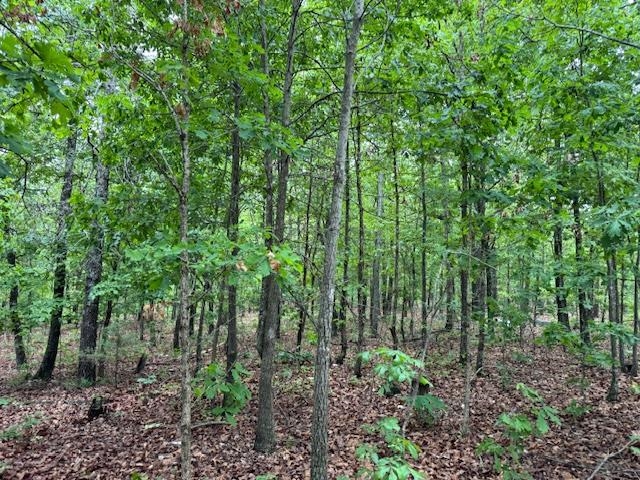 PINE VALLEY ESTATES - Land