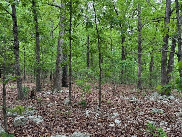 PINE VALLEY ESTATES - Land