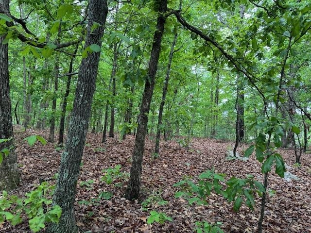 PINE VALLEY ESTATES - Land