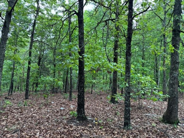 PINE VALLEY ESTATES - Land