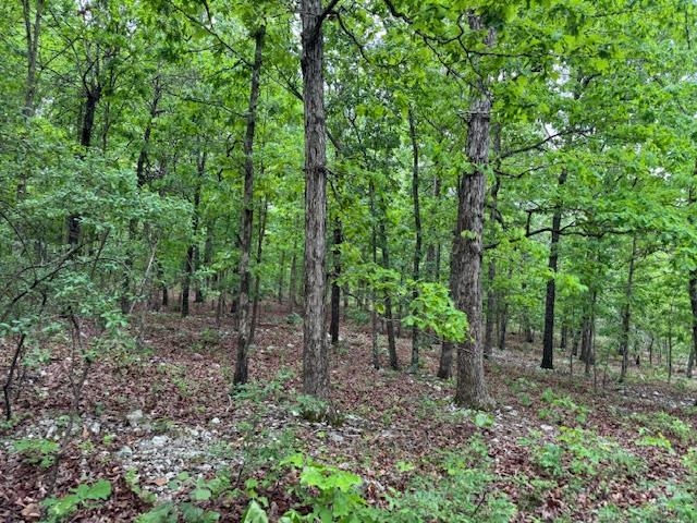 PINE VALLEY ESTATES - Land