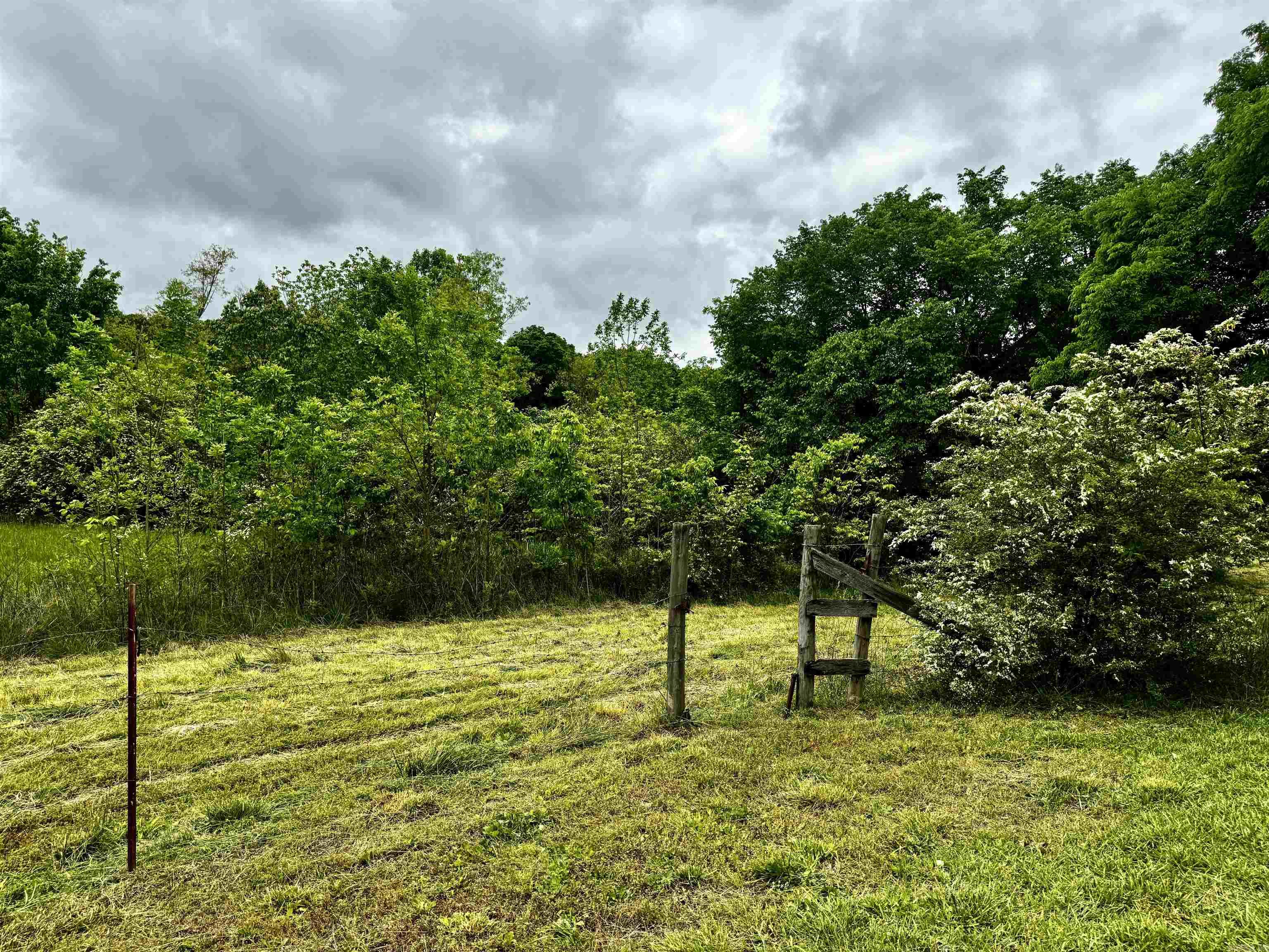 MOUNT IDA CITY ACREAGE - Residential