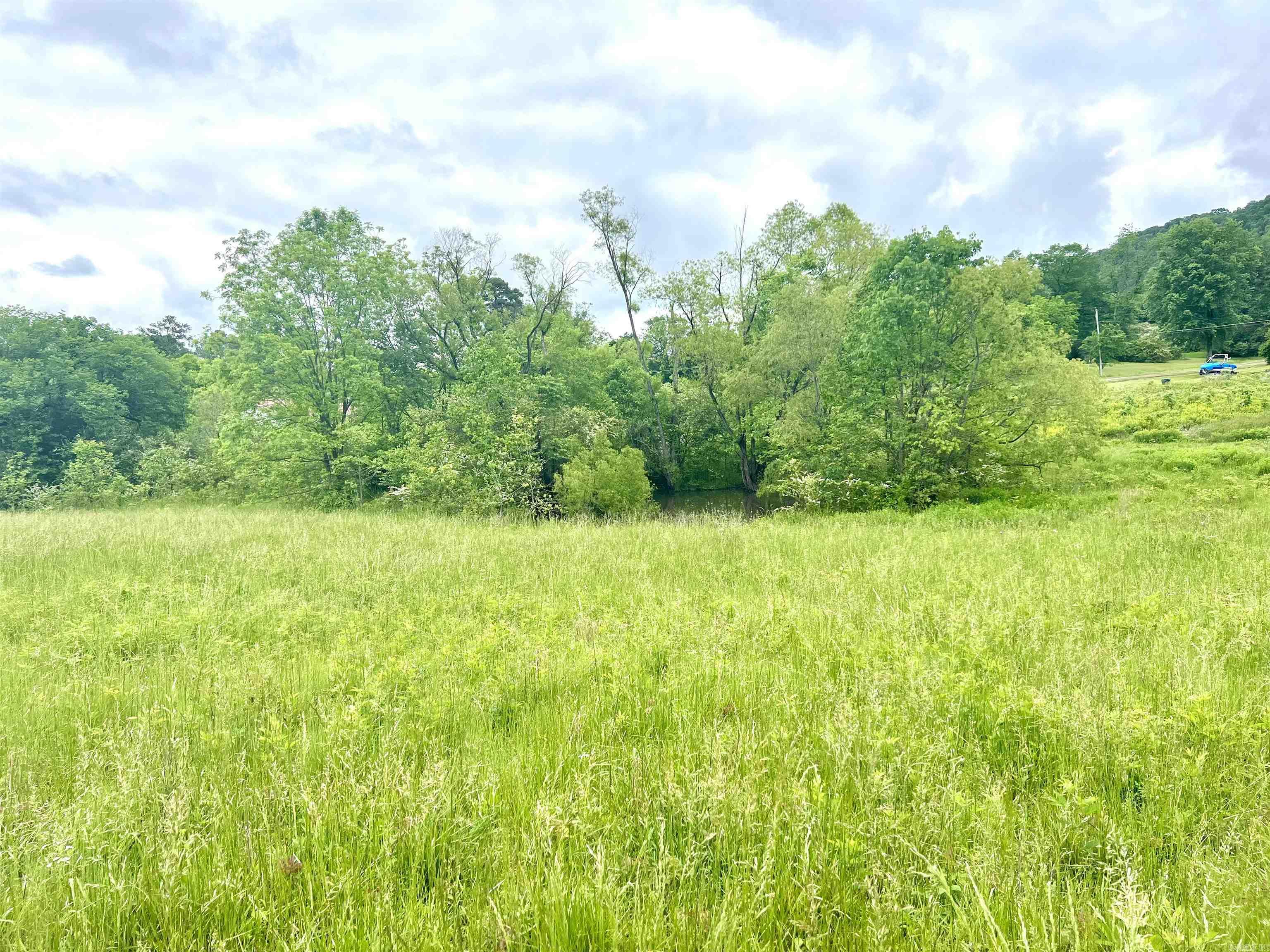 MOUNT IDA CITY ACREAGE - Residential