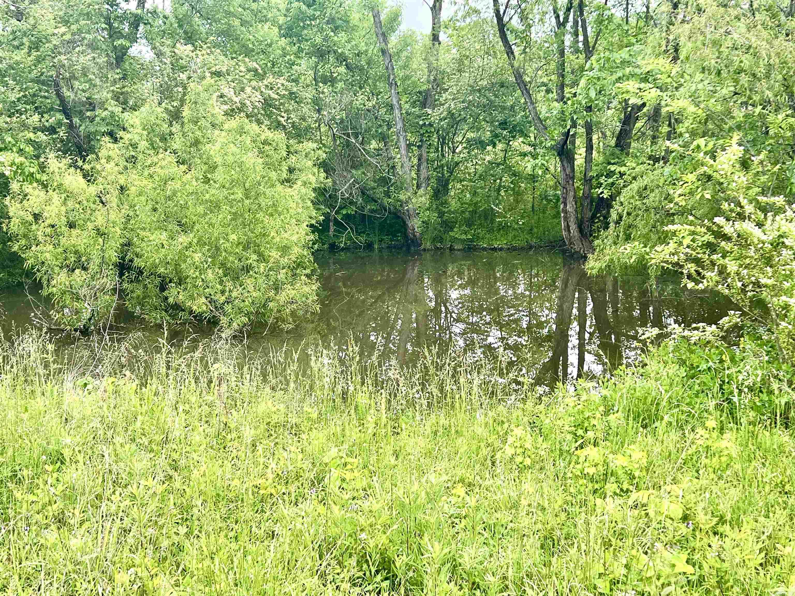 MOUNT IDA CITY ACREAGE - Residential