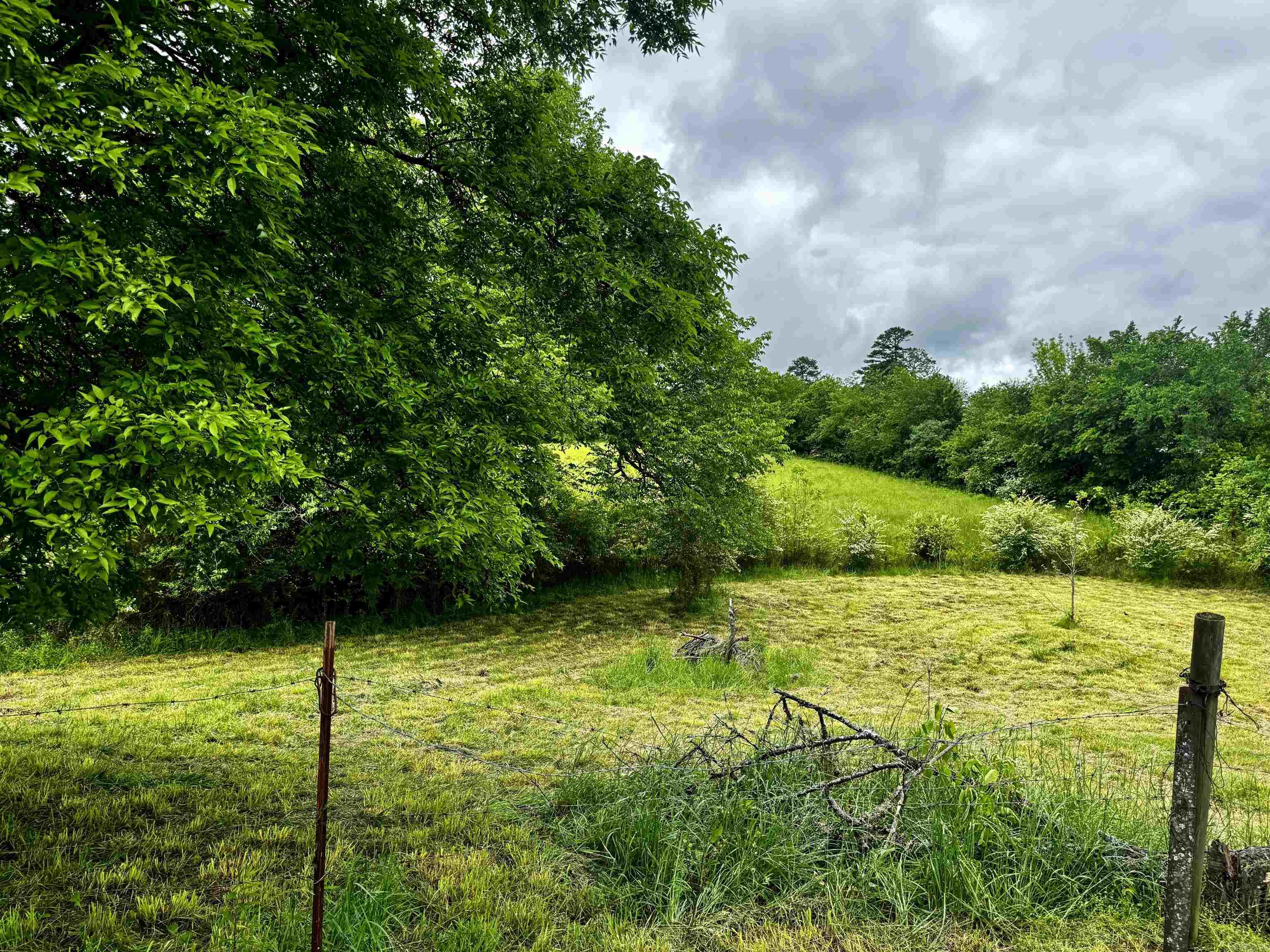 MOUNT IDA CITY ACREAGE - Residential