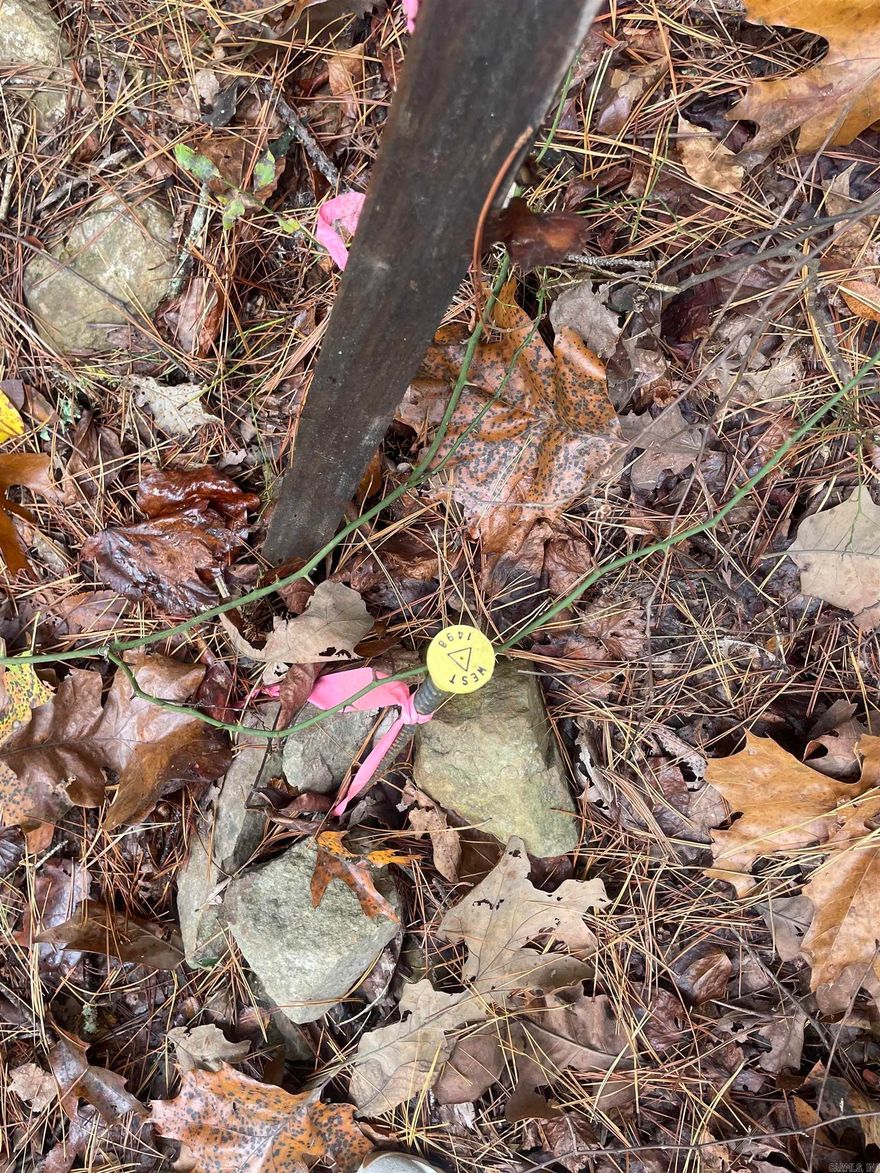 Escape to nature with this beautiful, wooded lot. Nestled in a peaceful setting the property has mature trees and slopes providing a serene backdrop for your dream home or cabin. A charming creek runs along the back adding both tranquility and character to the landscape.