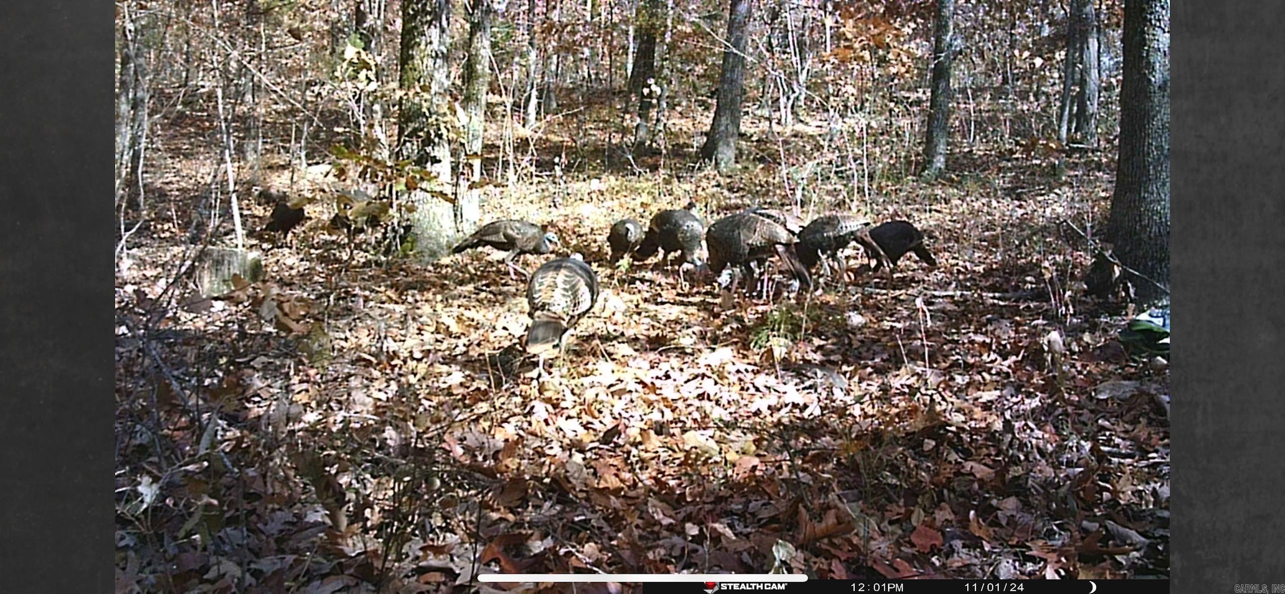 Not in Subdivision - Land