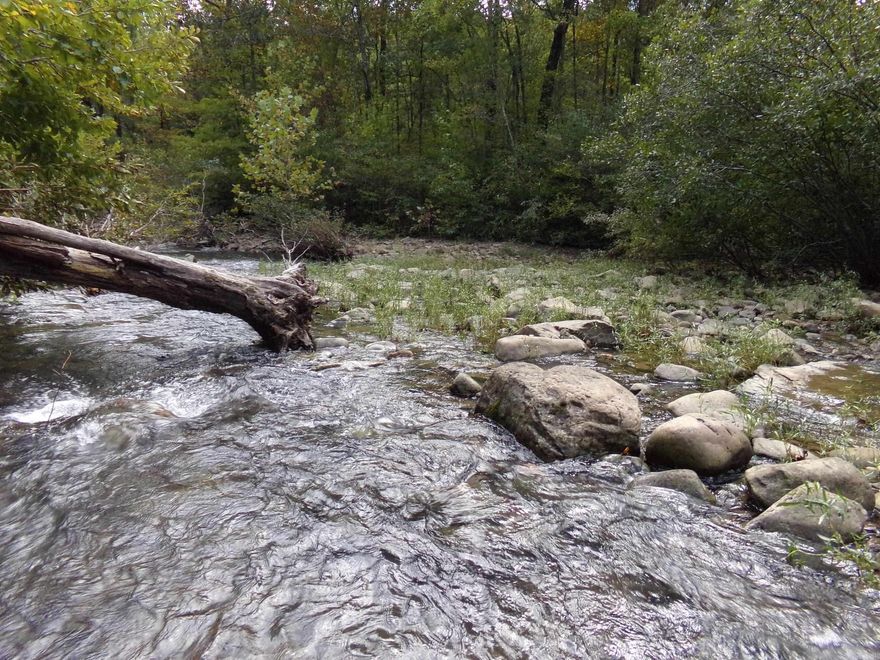 This rare and secluded property offers 3/4 miles of frontage along Archey Creek, providing excellent fishing, breathtaking views, and abundant wildlife. With a 1,940-ft. high ridge, you’ll experience panoramic scenery unlike any other. A well-maintained road and trail system ensures easy access throughout the property. Electricity is already on-site, and rural water is available nearby, making it ideal for a private retreat, hunting camp, or future homesite. Outdoor enthusiasts will appreciate the prime hunting opportunities, with deer, bear, and turkey thriving in the mix of mature timber, open clearings, and natural water sources. Approximately 150 acres of Loblolly Pine is a great addition to the excellent habitat now and will provide income in the future. Several springs and seasonal creeks add to the land’s natural beauty and ecological richness. Despite its secluded setting, access is excellent, making this a unique opportunity to own a stunning recreational property with unmatched natural features.  Don't miss out—schedule your private showing today!