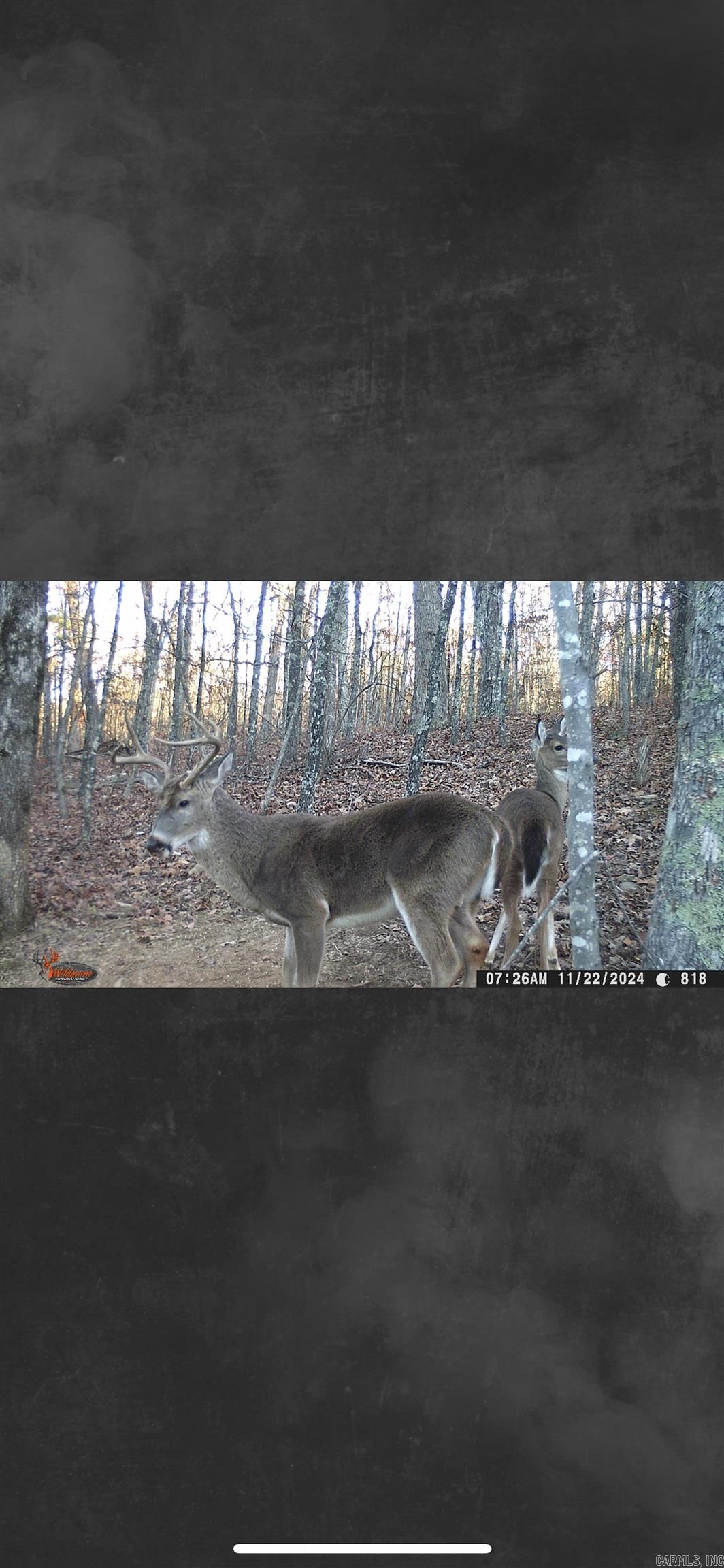 Not in Subdivision - Land