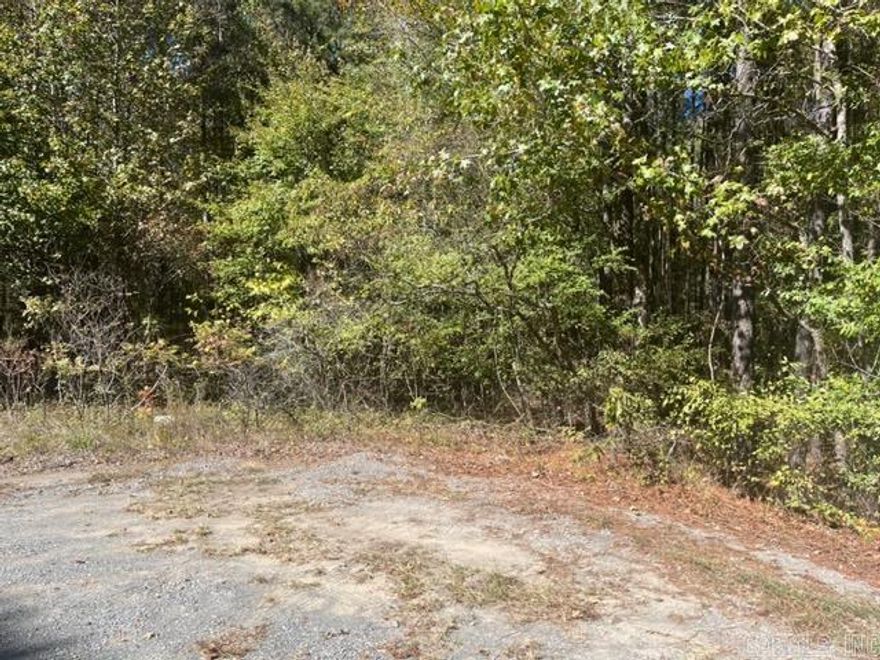 Great country setting, very secluded 12.24 acres at the end of a private road, lots of wild life.