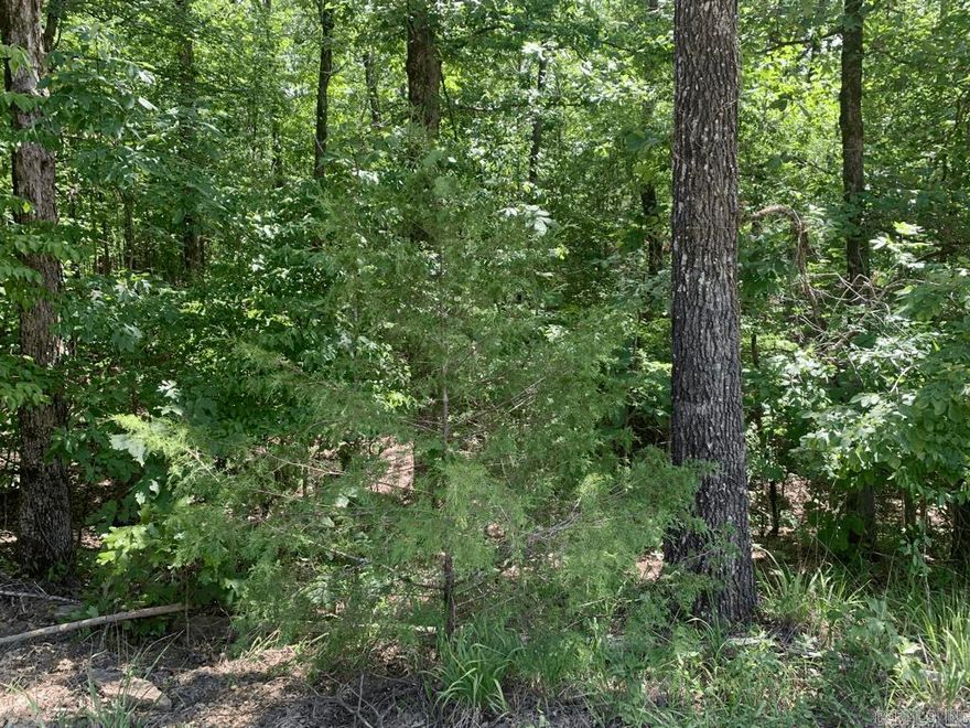 Build your new lake home here! Just 1 mile to the water. Lot #14 in Denby Cove, “Lake Ouachita’s Premiere Gated Community”, is comprised 3.52 wooded acres. Denby Cove offers paved roads, underground electric, city water, and a security gate. All available building lots in Denby Cove are a minimum of 3 acres. Some lots include an option to purchase additional adjoining acreage. Some restrictions, including: 900 sq ft min building requirement. No Mobile/Manufactured Homes.