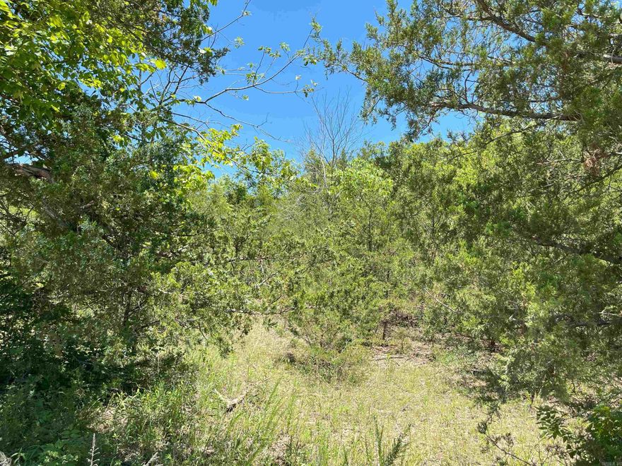 Build your dream home here! Rare fine! 10 acres with slight elevation change, under 3 miles from Mountain Home! Peaceful & quiet.