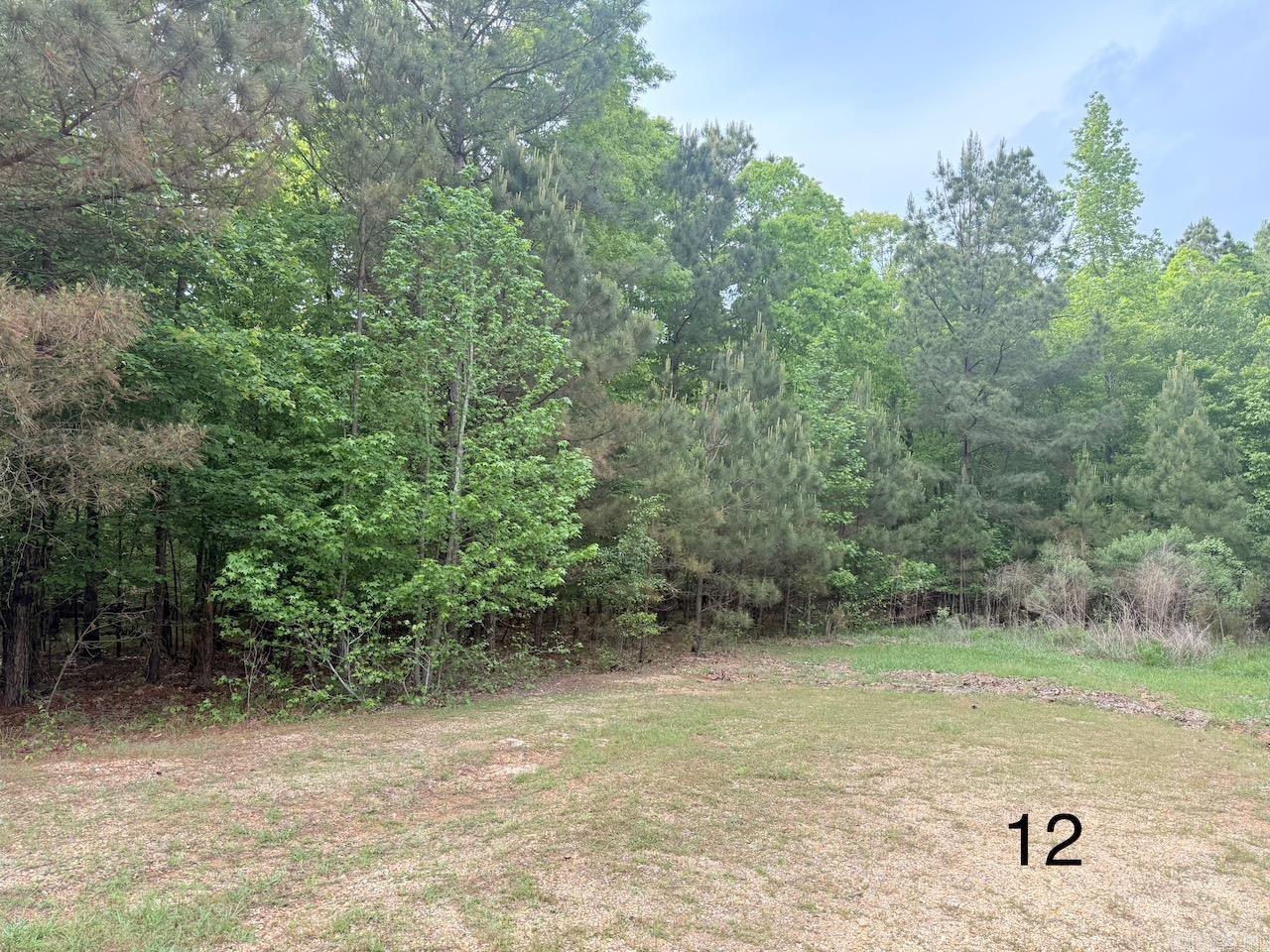 Discover the perfect spot to build your dream home in the desirable University Heights Subdivision! This 2.4-acre lot of phase 2 offers a serene, tree-lined setting in a quiet neighborhood, just minutes from the University of Arkansas at Monticello, local schools, hospitals, and shopping. With utilities readily available and a prime location, this lot is ideal for families, professionals, or investors. Priced to sell—don’t miss this opportunity to create your custom oasis in the heart of Monticello! Contact us today for details.