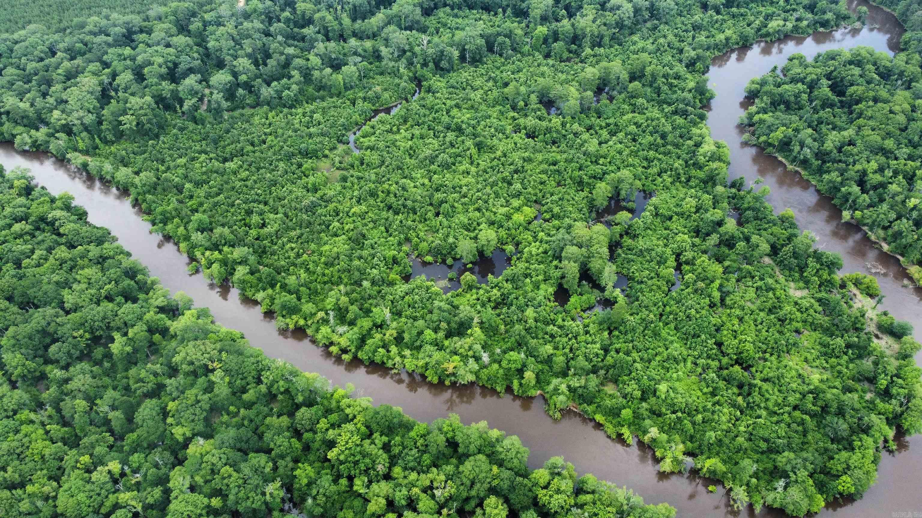This 56+- acre river property is a duck/deer hunters dream! This property is nestled right in the bend of the Saline river just minutes away from the very nice Vince Bluff boat ramp. It offers almost 1 mile of river frontage, this property has an approximately 12 year old natural regrowth on it that is thriving due to the rich soil. There have been several mature whitetails taken on this property and the whitetail population is thriving. There are many very mature cypress trees left on this property, some of the biggest I have ever seen! The Saline river offers some of the best bass, crappie, bream and catfishing in south Arkansas. The Vince Bluff boat ramp is concreted and very easy to use. You don't want to let this property slip away, give me a call today!