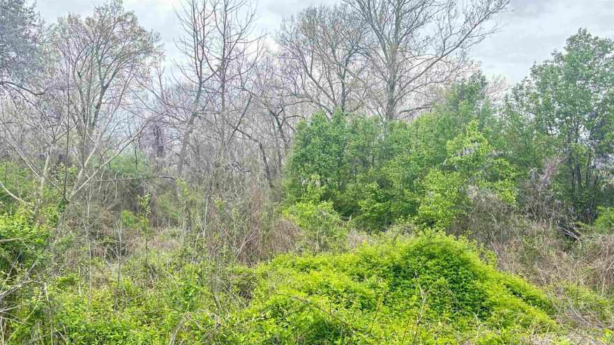 Lot to build a rent home or otherwise. Appears to be zoned single family residential. Please do your own due diligence on zoning and utility availability.