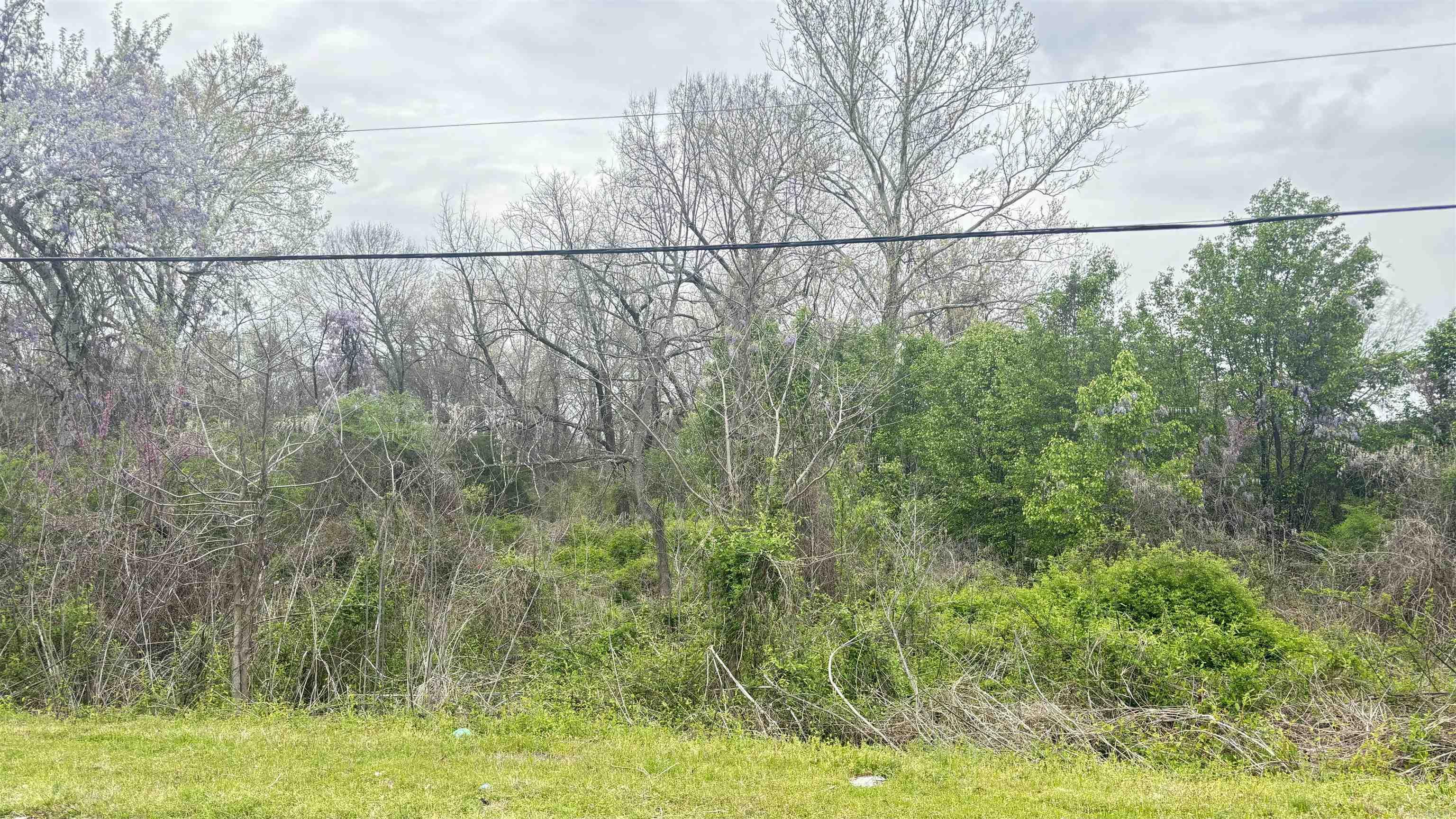 College Park R1 - Land