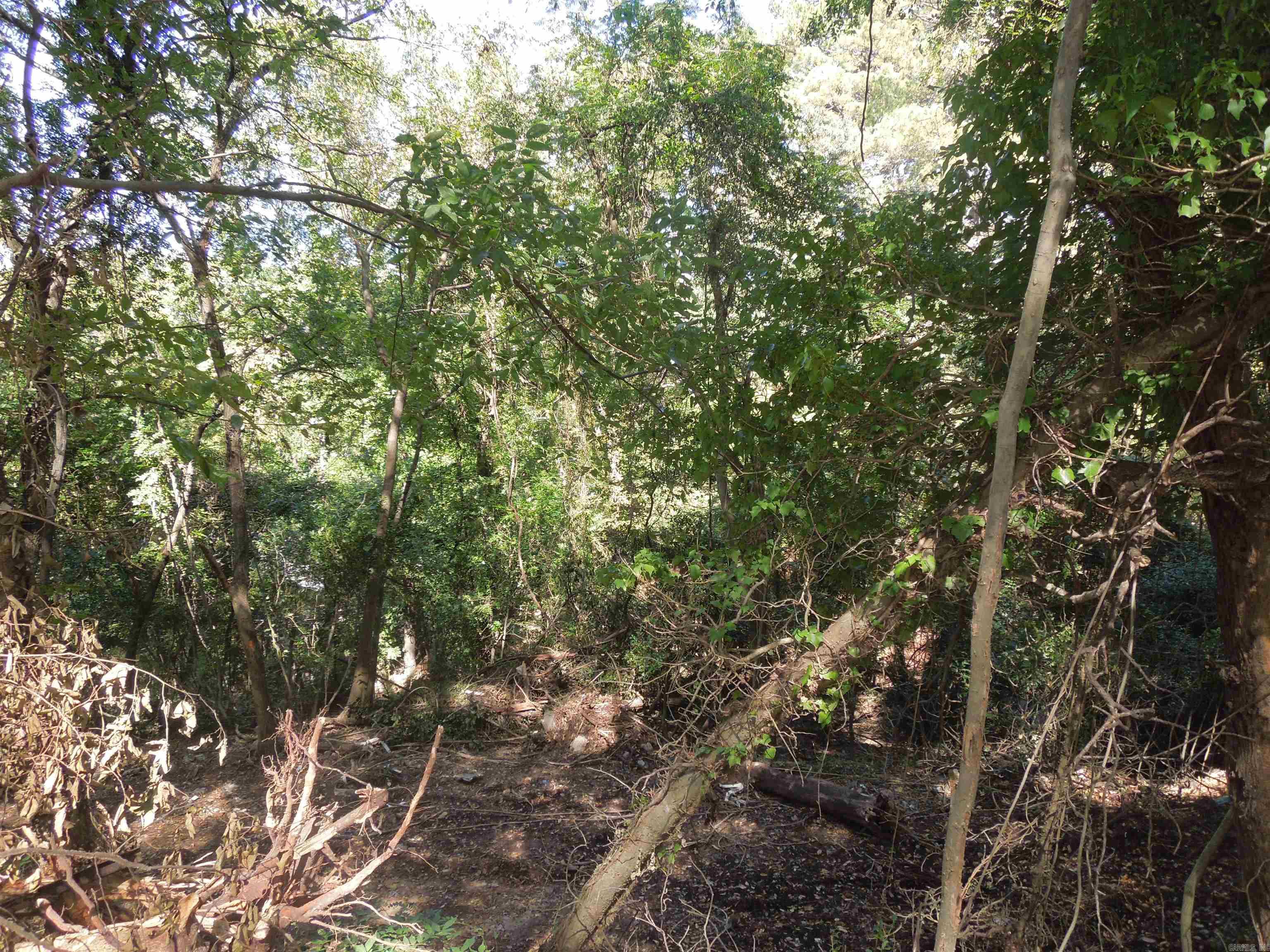 Hot Springs Reservation - Land