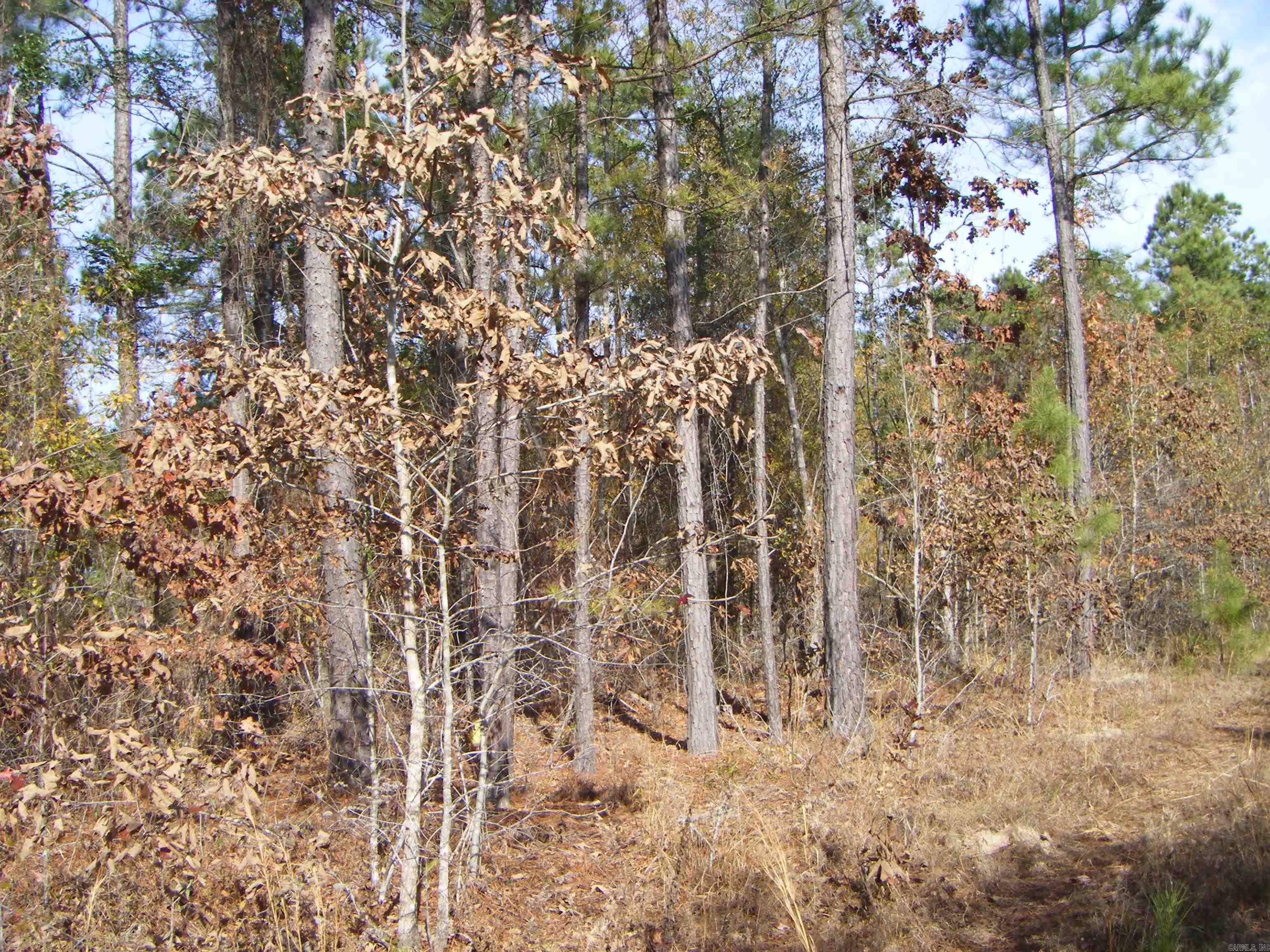 Metes & Bounds - Land