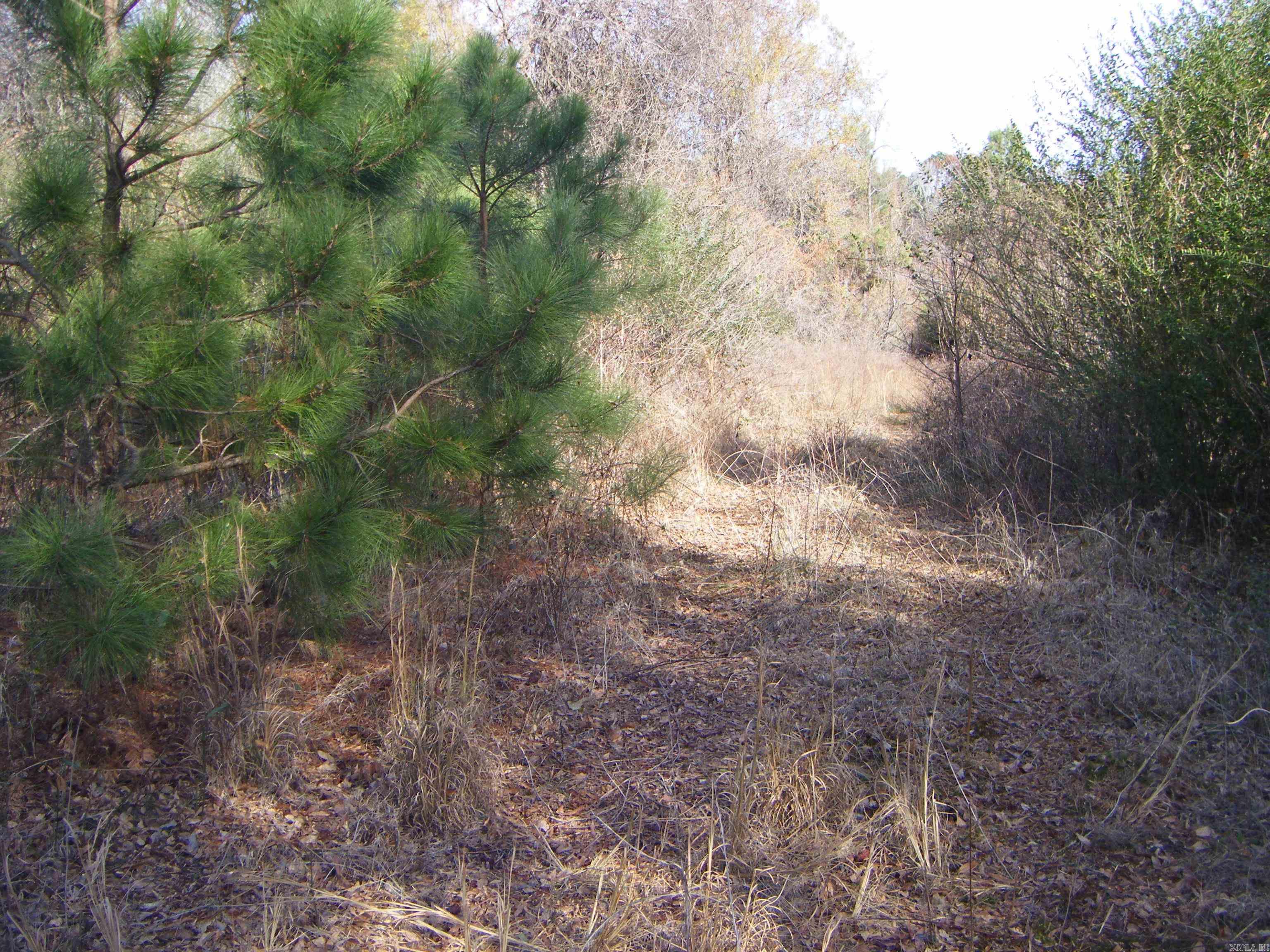 Metes & Bounds - Land