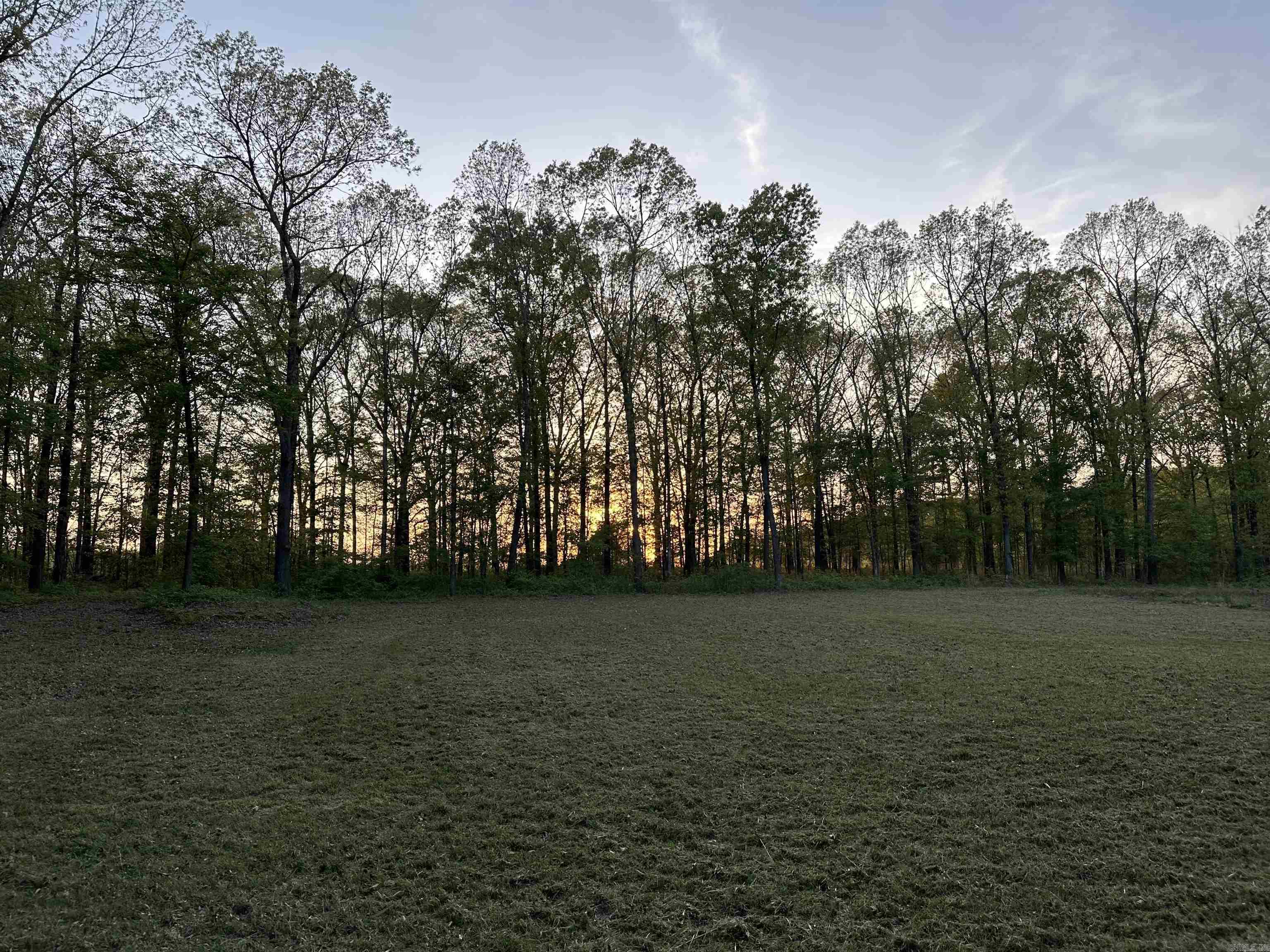 Eden Park - Land