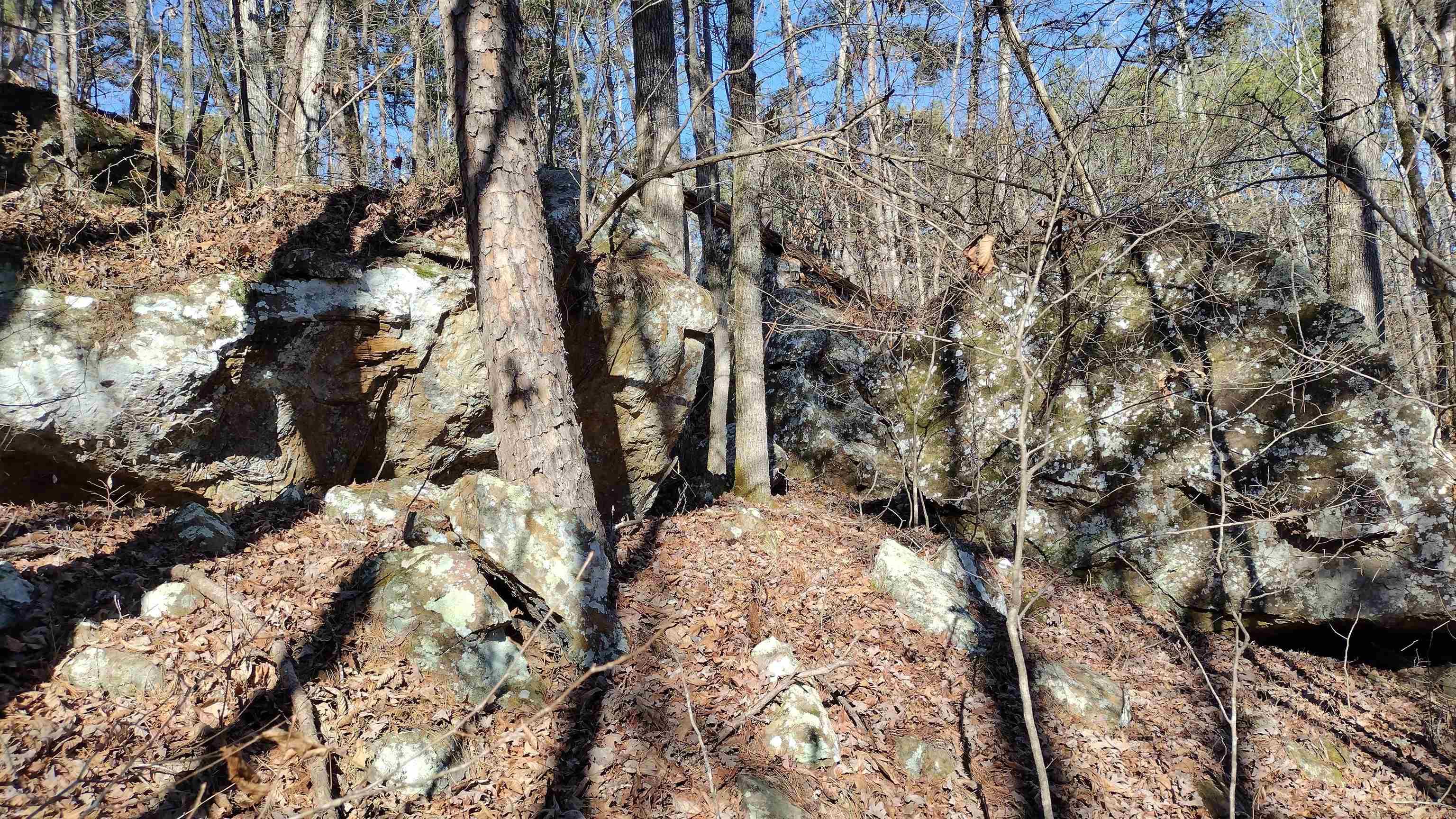 Metes & Bounds - Land