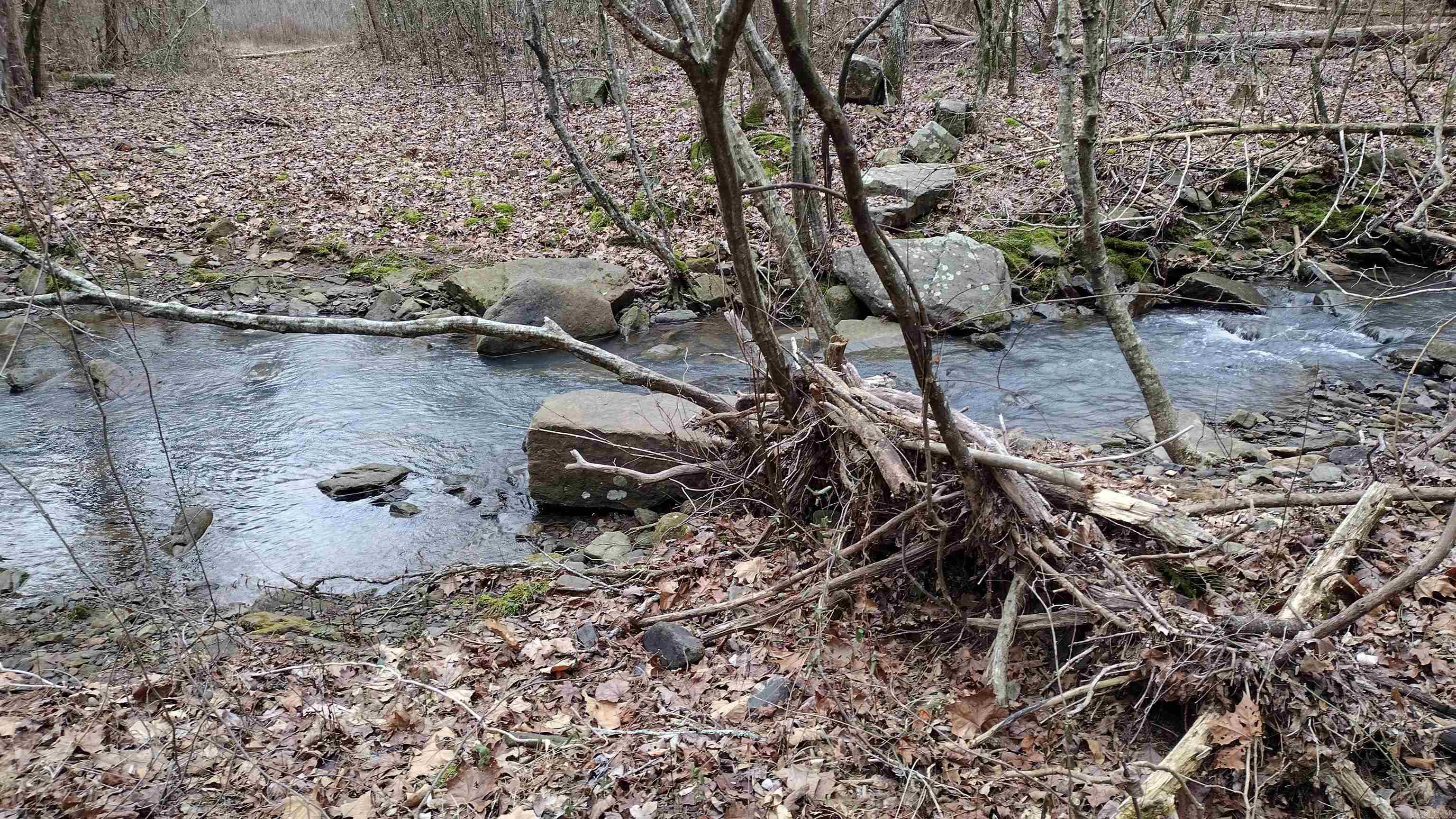 Metes & Bounds - Land