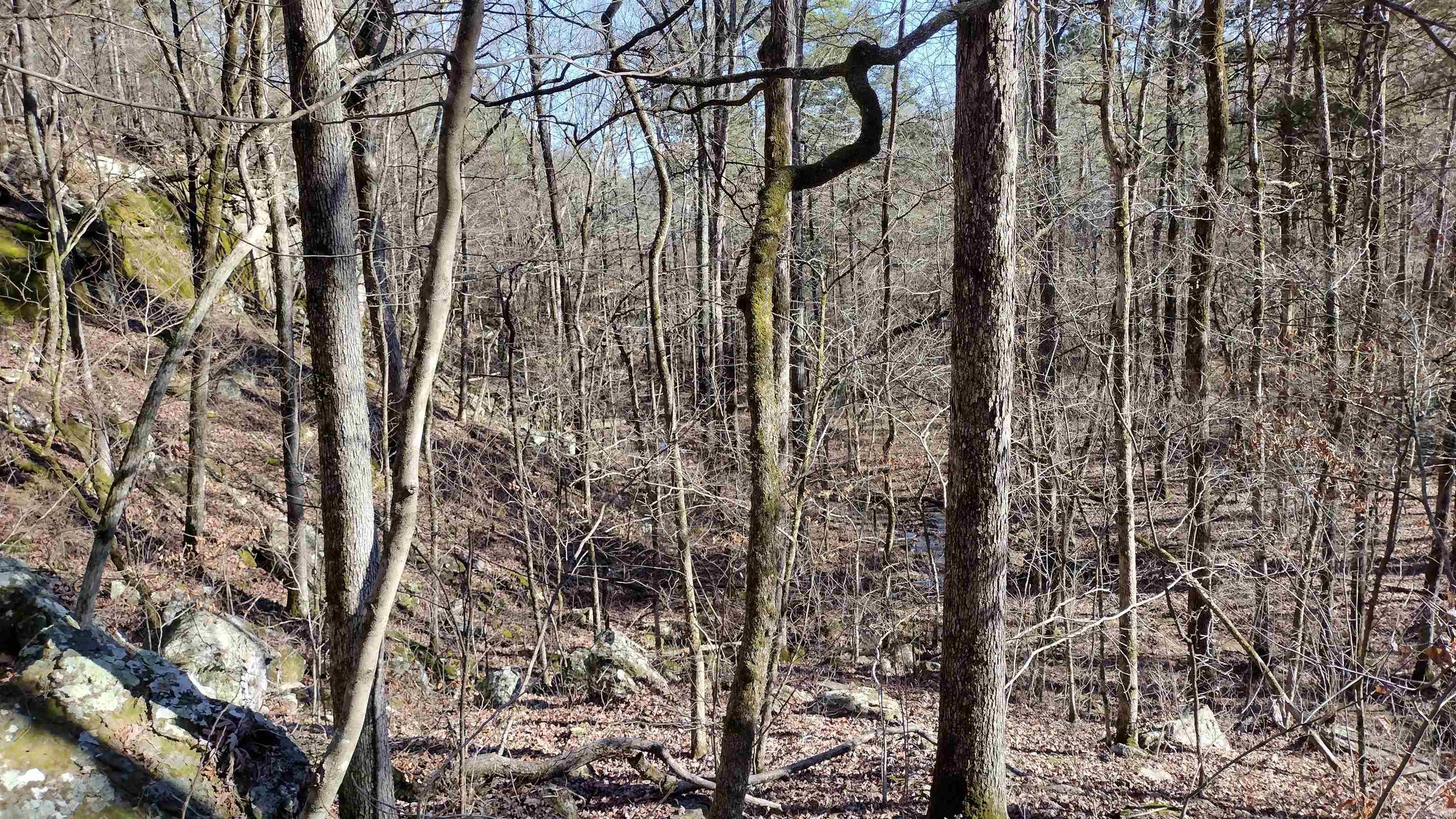 Metes & Bounds - Land