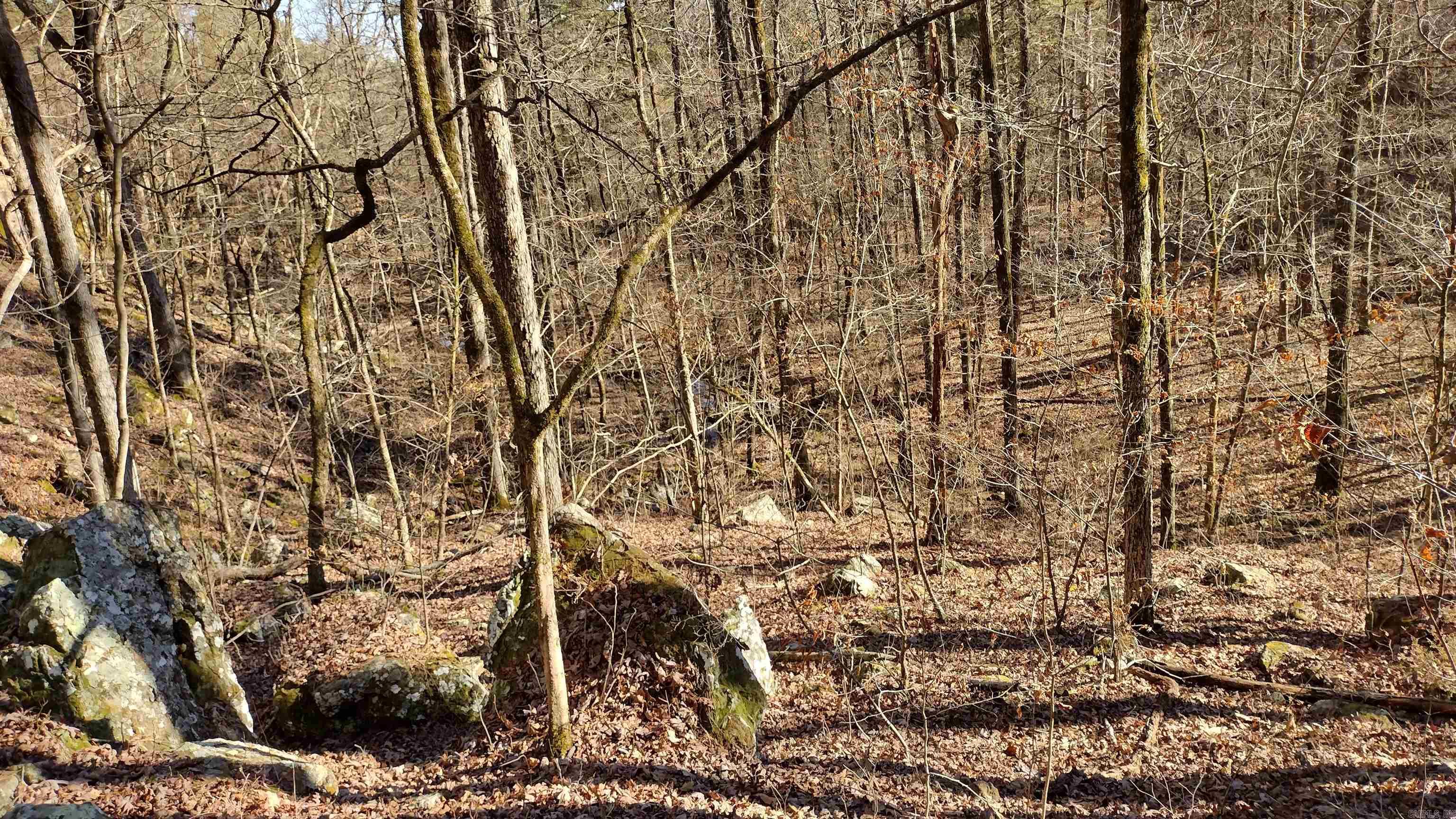 Metes & Bounds - Land