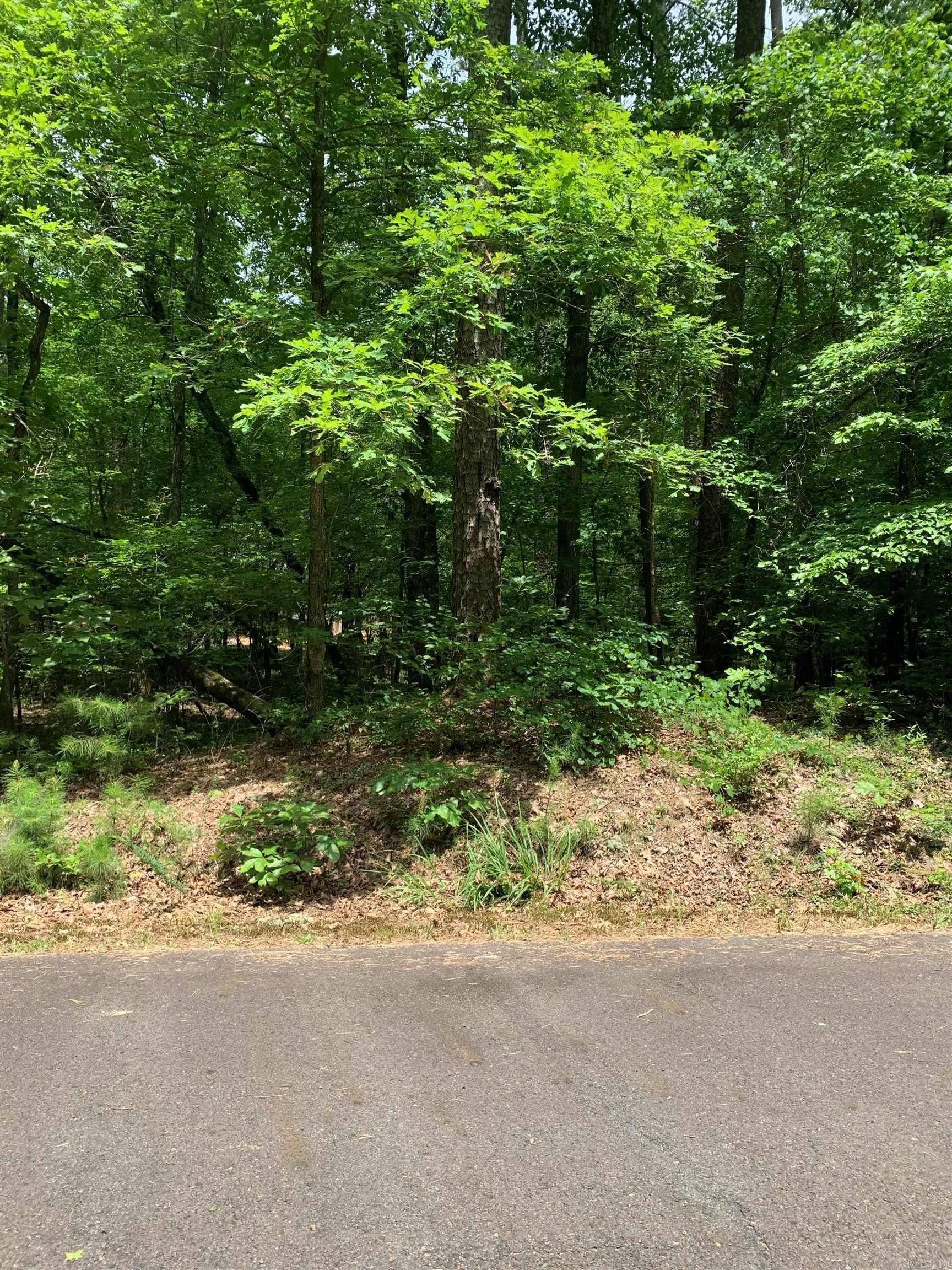 Very peaceful Lot located right beside Balboa Golf Course. Great location for your dream home to be built. Hot Springs Village the nation's largest gated community offers 9 beautiful golf courses, 11 recreational lakes with over 30 miles of trails for walking and hiking! New buyers to the Village have a $300.00 buy in fee payable to the POA at closing.