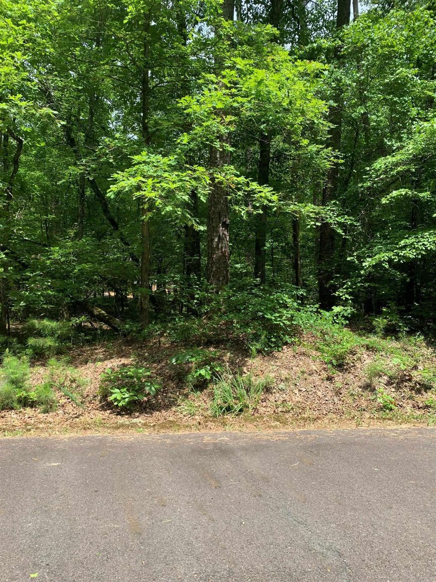 Very peaceful Lot located right beside Balboa Golf Course. Great location for your dream home to be built. Hot Springs Village the nation's largest gated community offers 9 beautiful golf courses, 11 recreational lakes with over 30 miles of trails for walking and hiking! New buyers to the Village have a $300.00 buy in fee payable to the POA at closing.