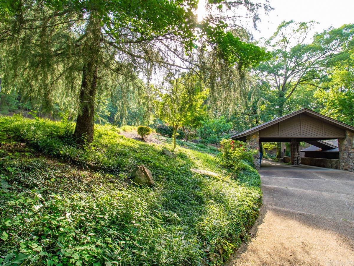 Burnt Tree - Residential