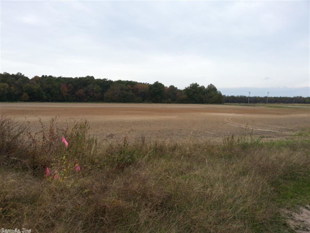 3.9+- Acres are backed on the east side by WMA comprising 220 acres and the other three sides of the this parcel has Cache River Running around it. Pristine Hardwoods, with pin, willow, white, over cup, and post oak. Cypress trees round out this outstanding hunting, deer, duck recreational, land for sale with three sides of waterfront property near Augusta, Arkansas in Woodruff County. An elevated railroad bed splits the property, allowing access when the river is out of its banks. Year round slough.