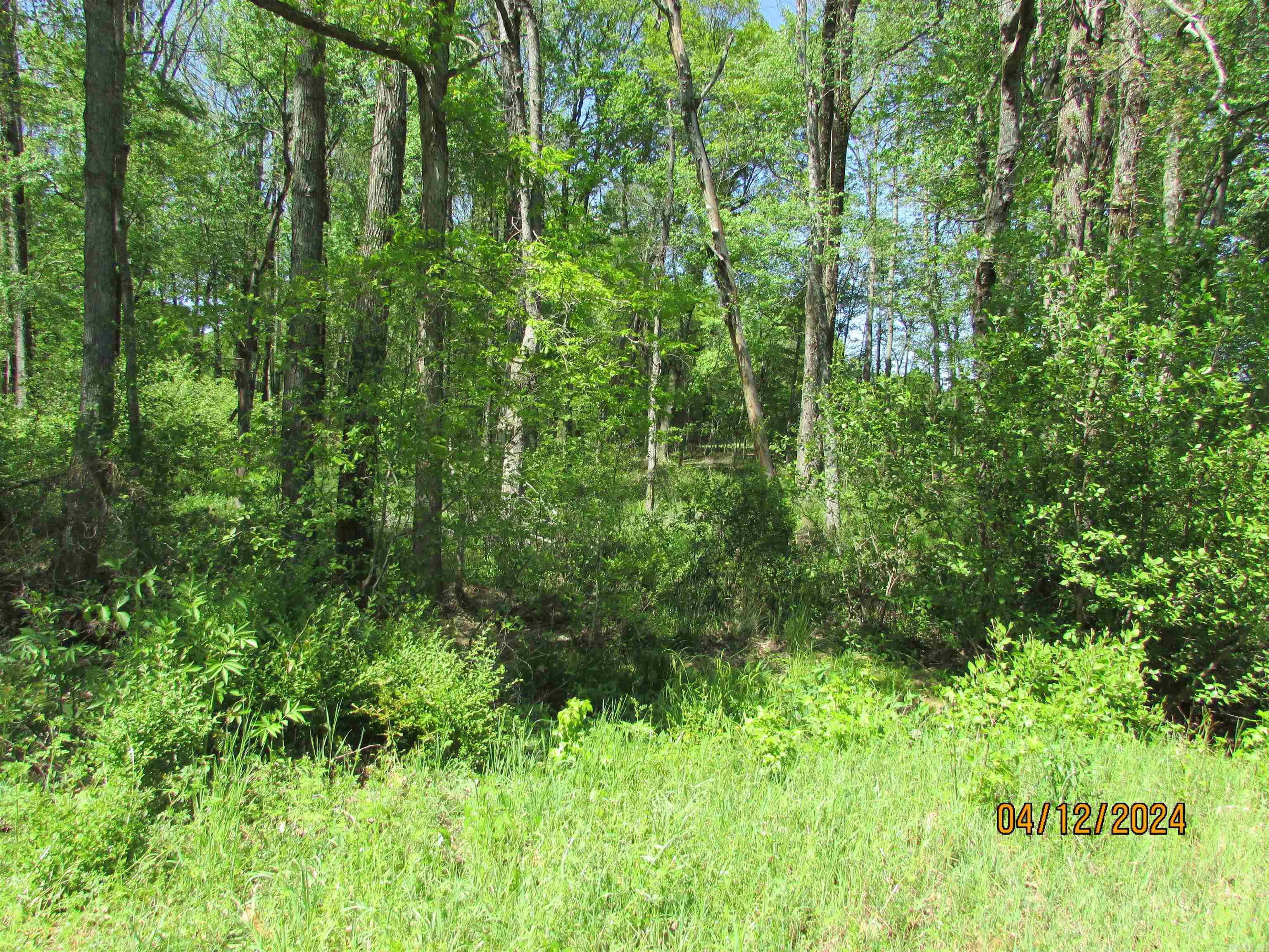 Metes & Bounds - Land