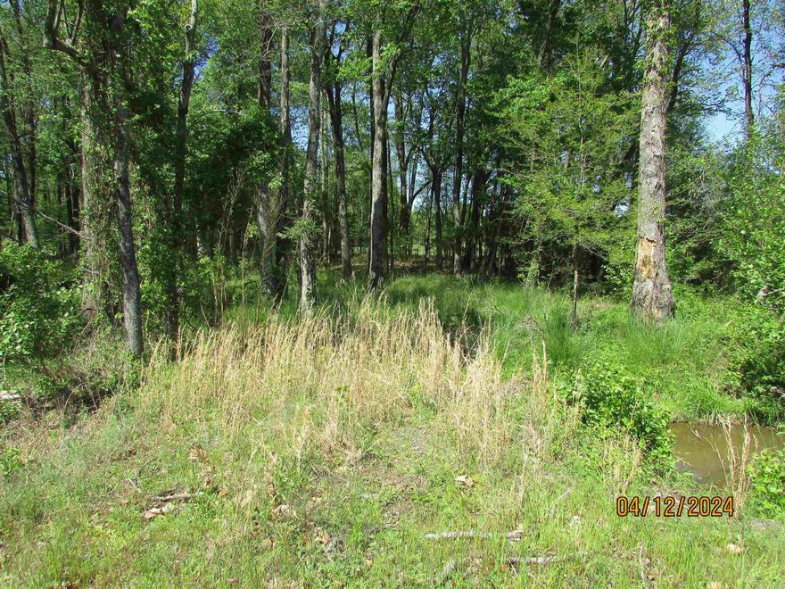 Are you ready to build your dream home? This is it. Great location. Located just outside the city limits.  Existing survey available. There is a seasonal creek. Utilities at the road.  Won't last long at this price.