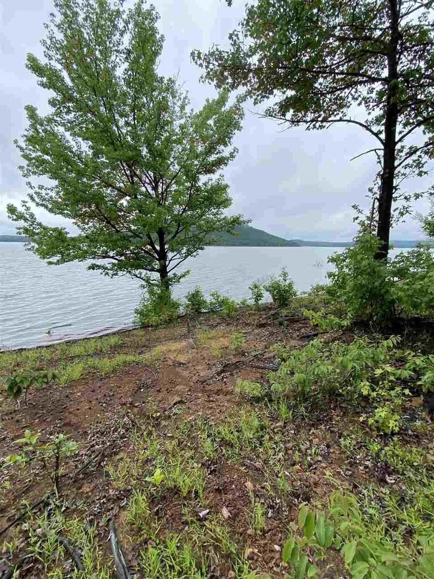 Dreaming of building your forever home or weekend get away? This property is the property for you. Low White line, Lake front property. This comes with Lot 47 and Lot 121. Come take a look today! It will not last long.
