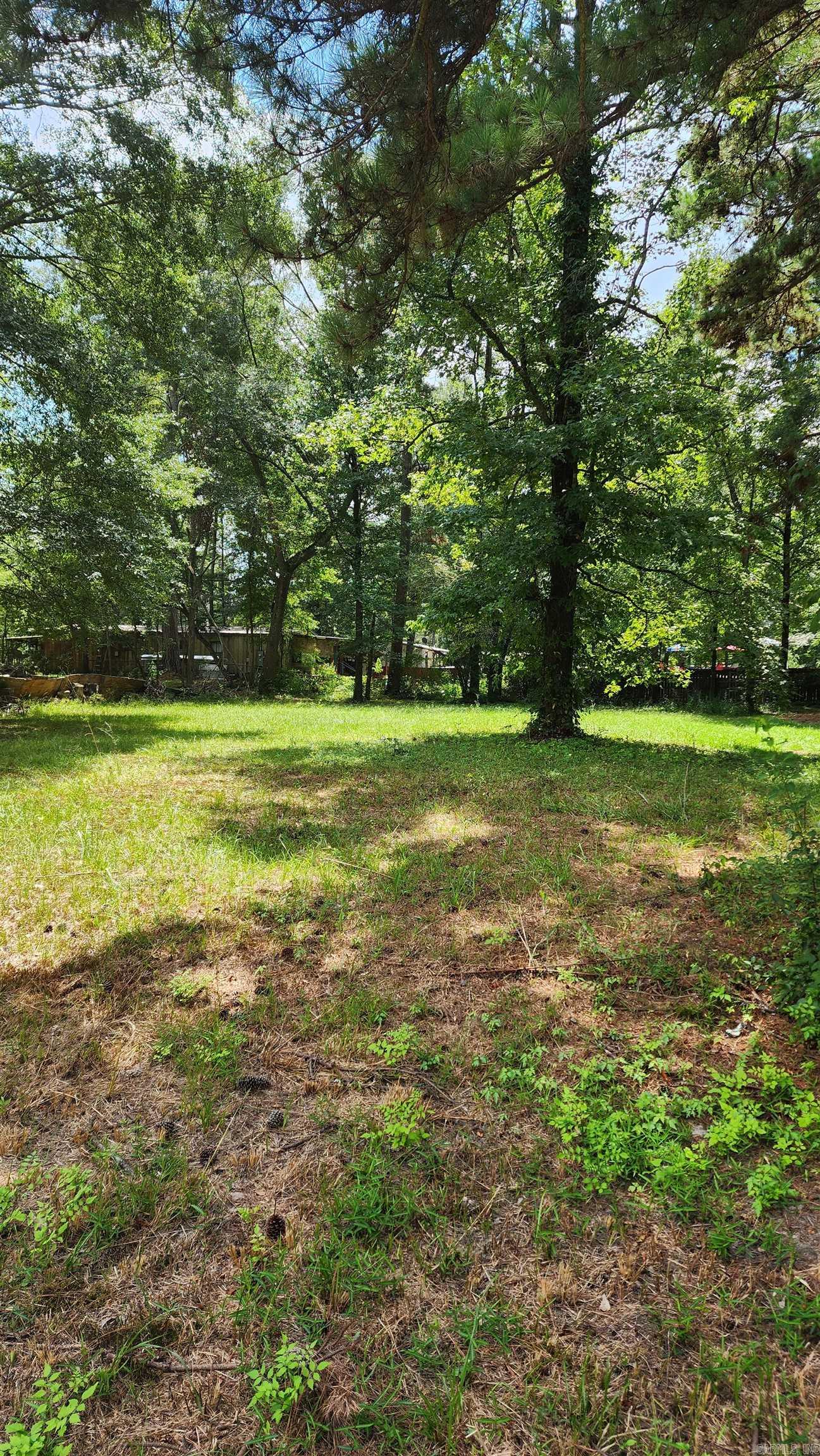 Piney Woods - Land