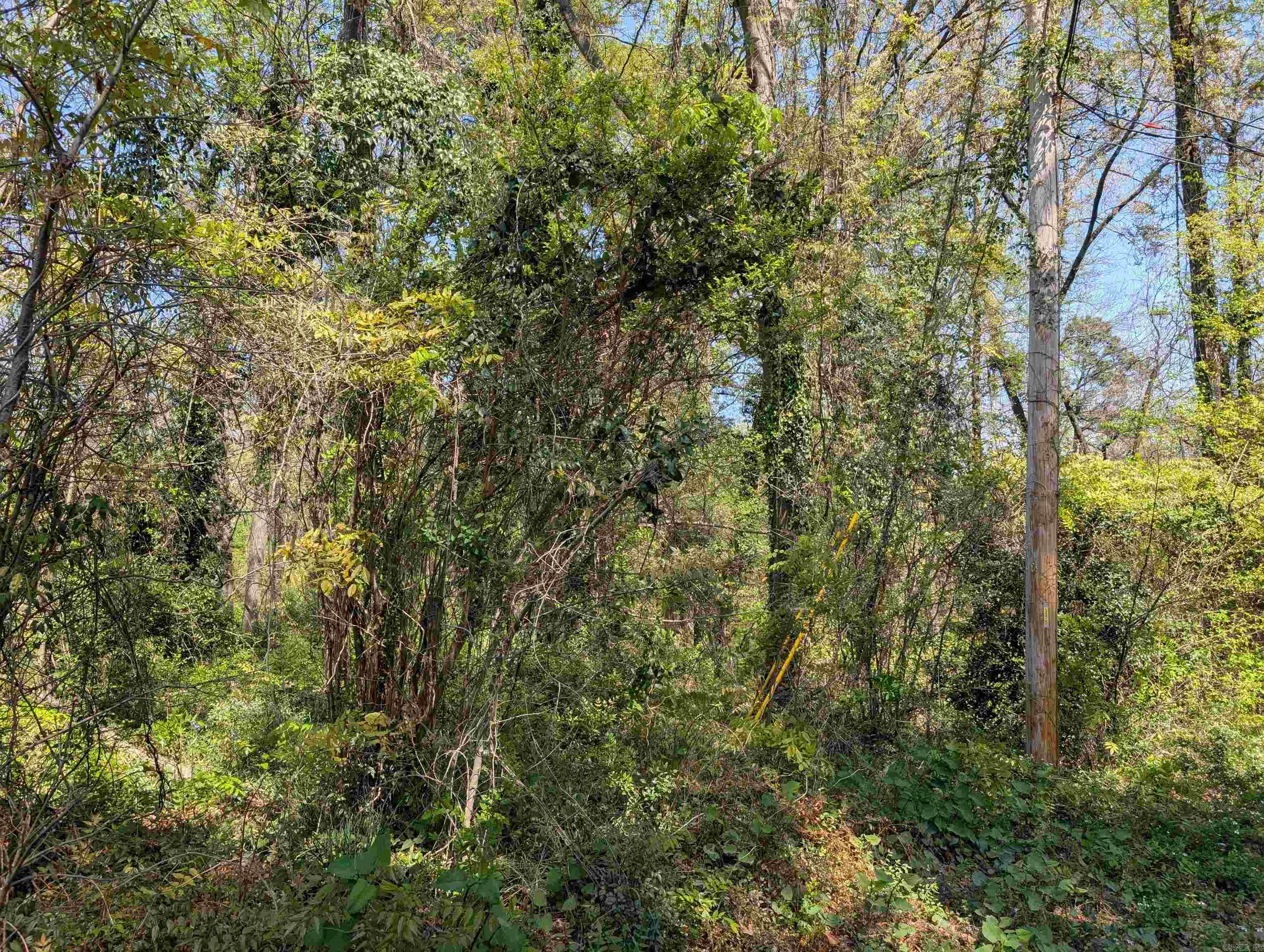 Lake View - Residential