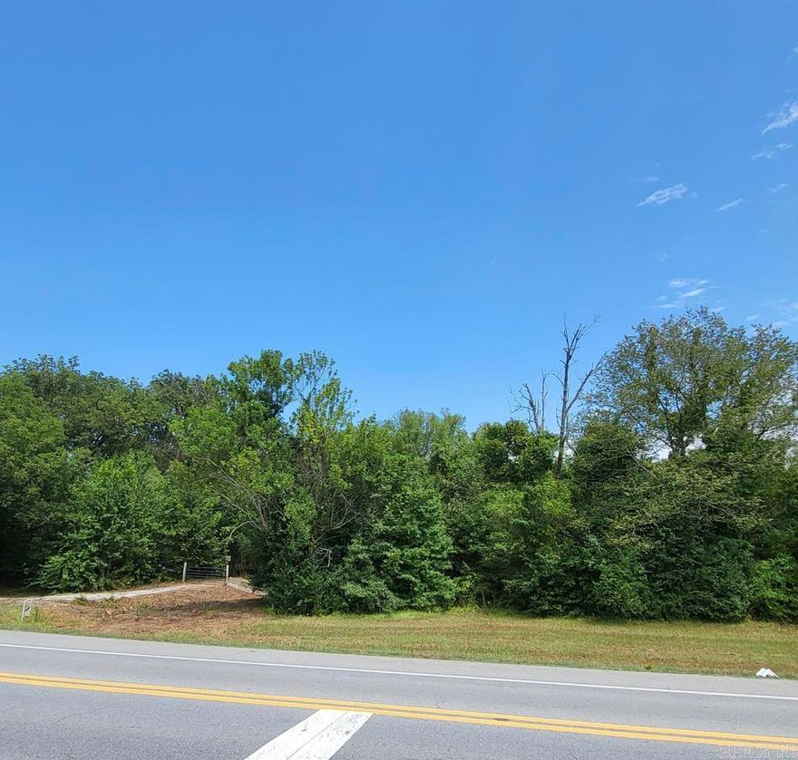 COMMERCIAL LOT IN ALEXANDER CITY LIMITS, NEXT TO DOLLAR GENERAL.  LEVEL 5.55 ACRES WITH APPX 244 FEET OF ROAD FRONTAGE ON SOUTH ALEXANDER ROAD (HIGHWAY 111).  UTILITIES AVAILABLE.  APPROXIMATELY 1/2 MILE FROM I-30.  ZONED HIGHWAY COMMERCIAL. POSSIBLE USES: FAST FOOD, RESTAURANT, CONVENIENCE STORE, RETAIL, STORAGE UNITS, HOTEL, MARINE EQUIPMENT, RV SALES, WAREHOUSES, CONSTRUCTION EQUIP, GAS STATION, BODY SHOP, CAR WASH, BANK, DRY CLEANERS, ETC.      AVERAGE DAILY TRAFFIC COUNT IS OVER 8,000.      AGENTS SEE REMARKS.