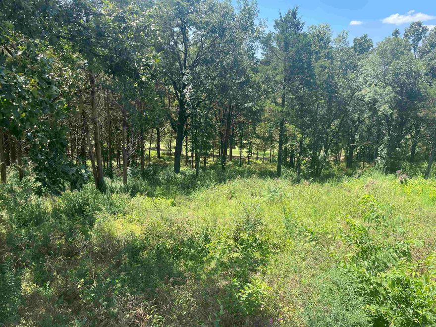 Great looking, buildable lot in a very good neighborhood. Has been partially cleared already.