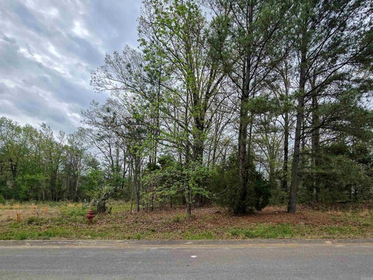 DARA DR, JONESBORO, AR 72401 - Image 5f5768dae18f902bdbbee258d2c8b03d/3220382417