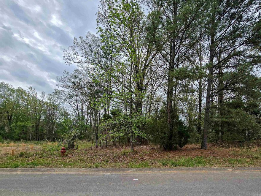 Build your new home in the desirable Shady Valley Estates Subdivision! This residential lot, approximately 0.24± acre, is conveniently located on Alex Drive—third lot on the left—within the Jonesboro School District. Enjoy a prime location just minutes from local dining and less than a 3-minute drive (or walking distance) to Arkansas State University. Public transportation is easily accessible with a JET Bus stop approximately 0.2 mile away. A great opportunity to invest or build in an established area with convenient access to city amenities.