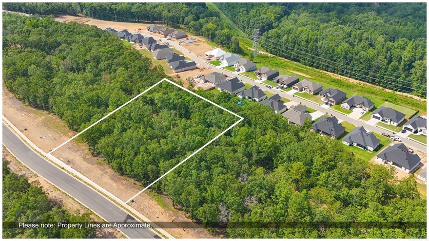 Welcome to Millers Ridge Estates! Discover the ideal location for your dream home in the heart of Sherwood! Millers Ridge Estates is a gated community with a collection of beautiful residential lots, each designed to cater to your unique lifestyle and preferences.  Each lot offers unique features and ample opportunities for building your dream home!  Ready to make your dream a reality?Call today for more information or to schedule a visit. Don’t miss out on this incredible opportunity to build your ideal home in Millers Ridge Estates!