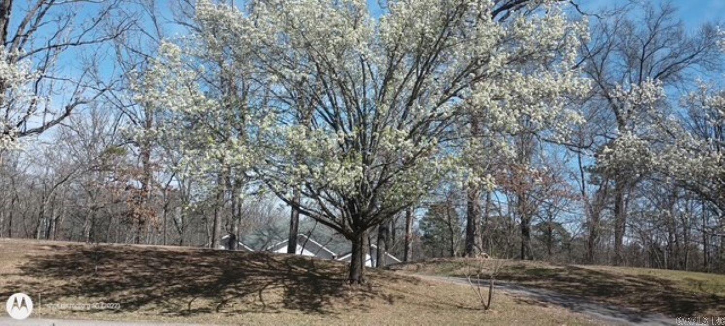 PEBBLE LAKE - Residential