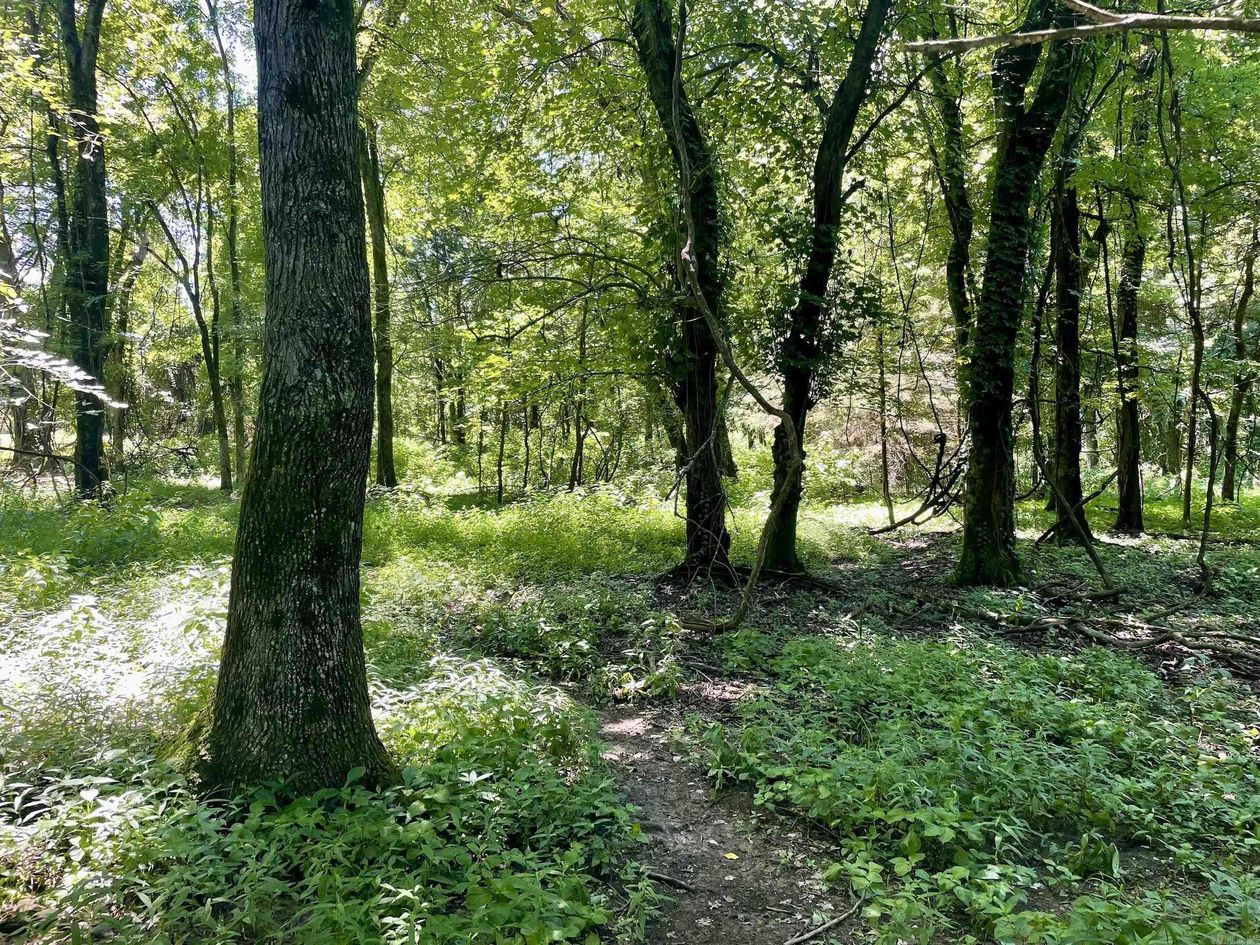 Not in Subdivision - Land