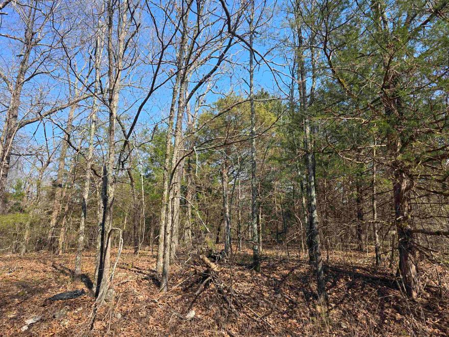 Nice lot, very level. This lot is on the North side of the village and is very secluded in its own Cul-De-Sac. Lots of trees and lots of nature and wildlife. Come check this lot out, check out the view and see where you want to put your vacation home or your forever home. Retire here and fish 7 different lakes and golf 2 different 18-hole golf courses. Don't forget about the beautiful South Fork River that flows right through the Village. Shop in Old Hardy town and trout fish the Spring River. That's living the Cherokee Village lifestyle.