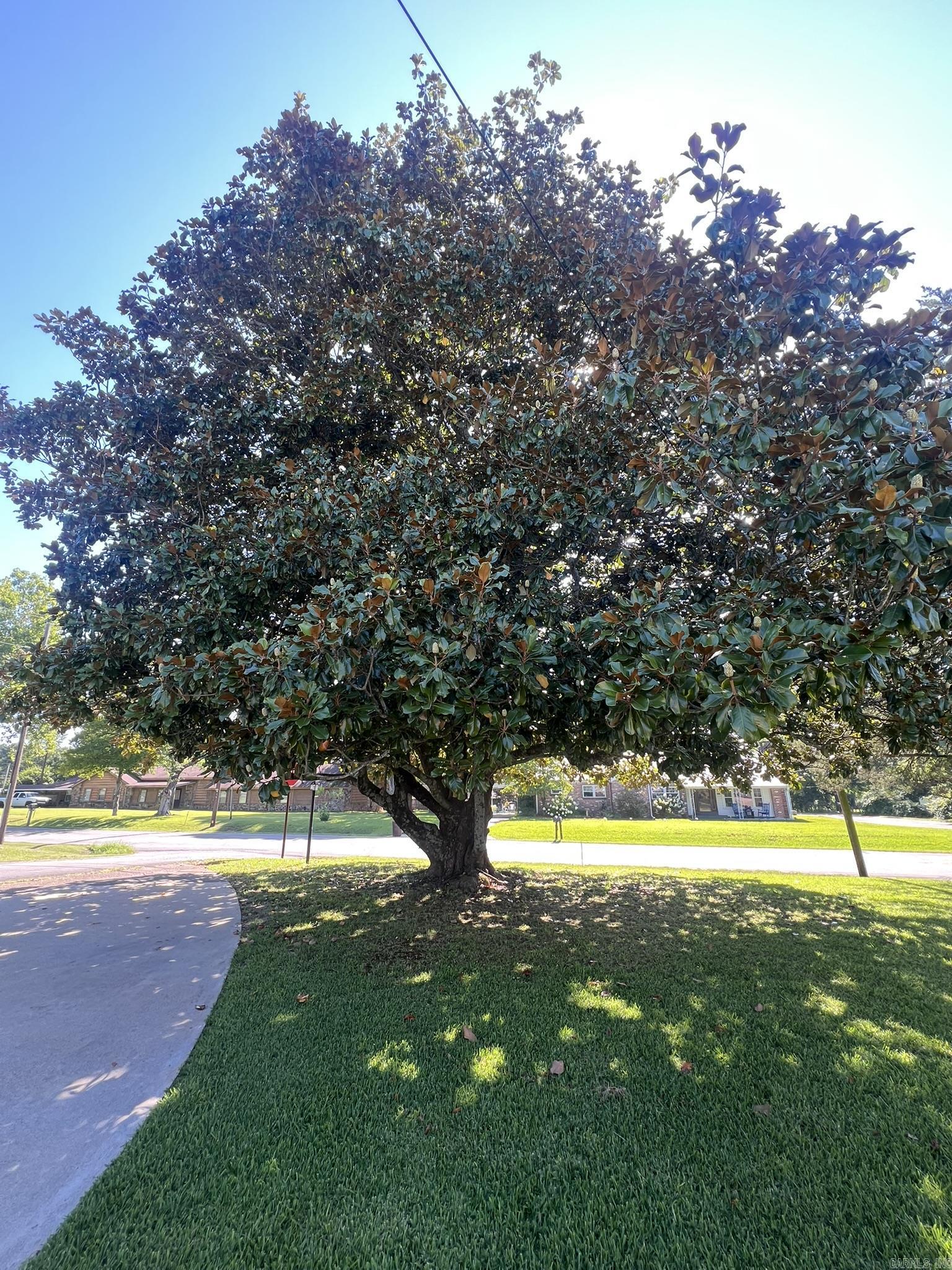 SPRING LAKE - Residential