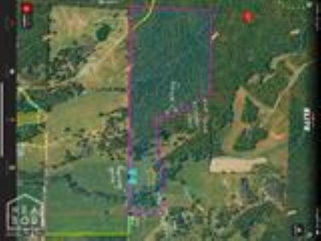 Beautiful tract of land to hunt on, ride your side by side, or just pick out a cleared spot and have a fun summer afternoon picnic with family and friends. Open area for games to be played like softball, tackle football or any outdoor game you enjoy playing