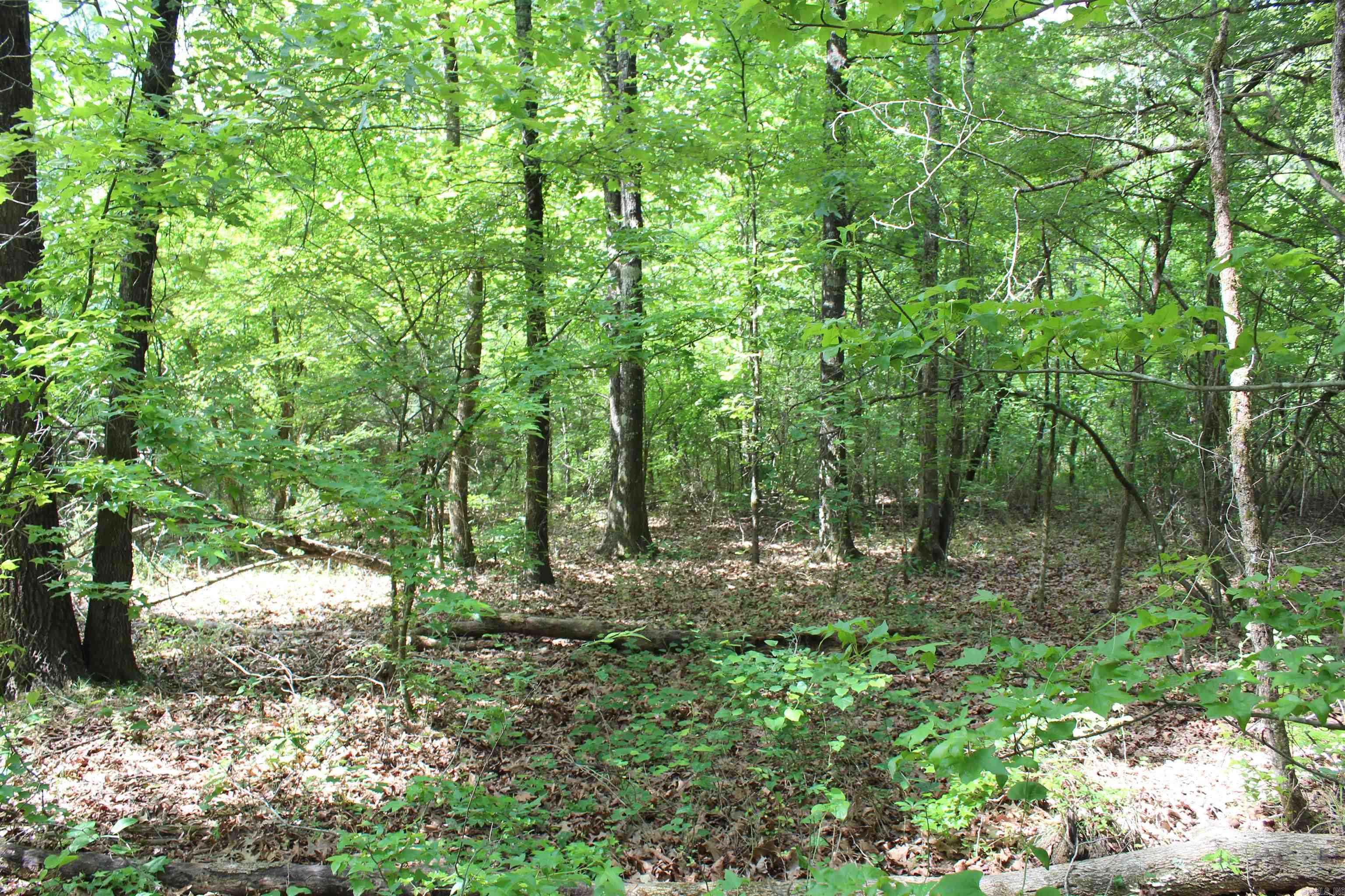 Not in Subdivision - Land