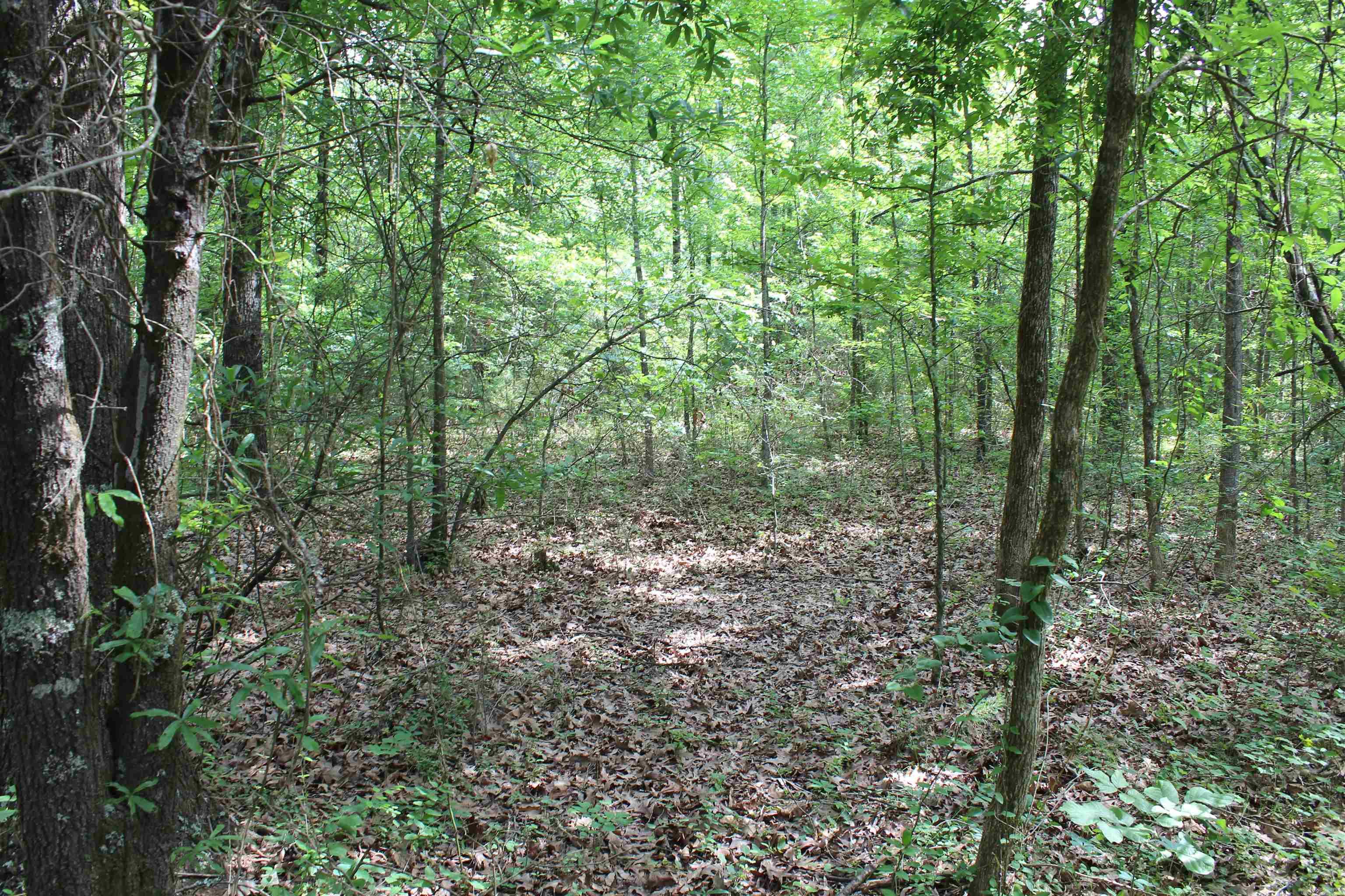 Not in Subdivision - Land