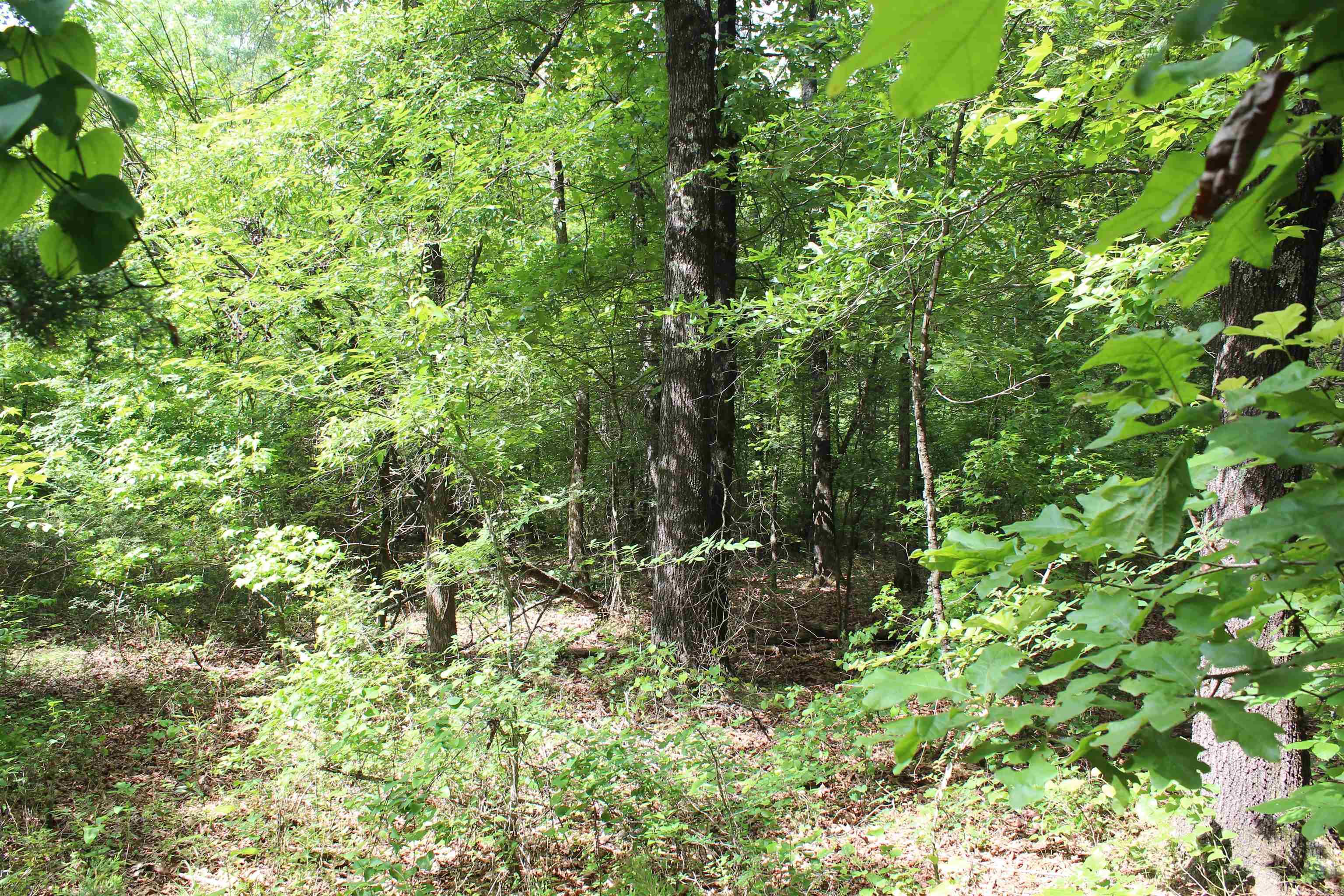 Not in Subdivision - Land